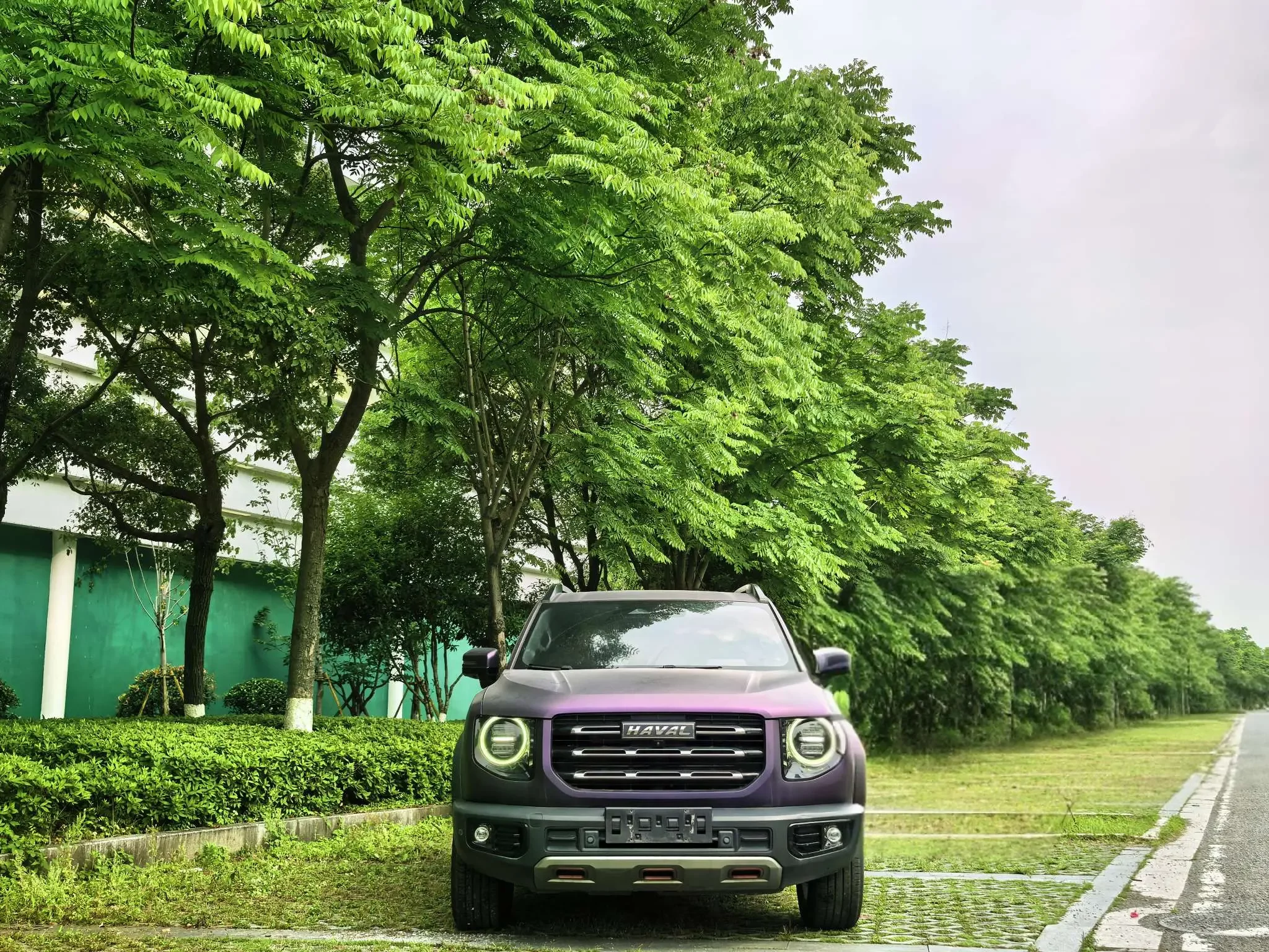 Haval Dargo