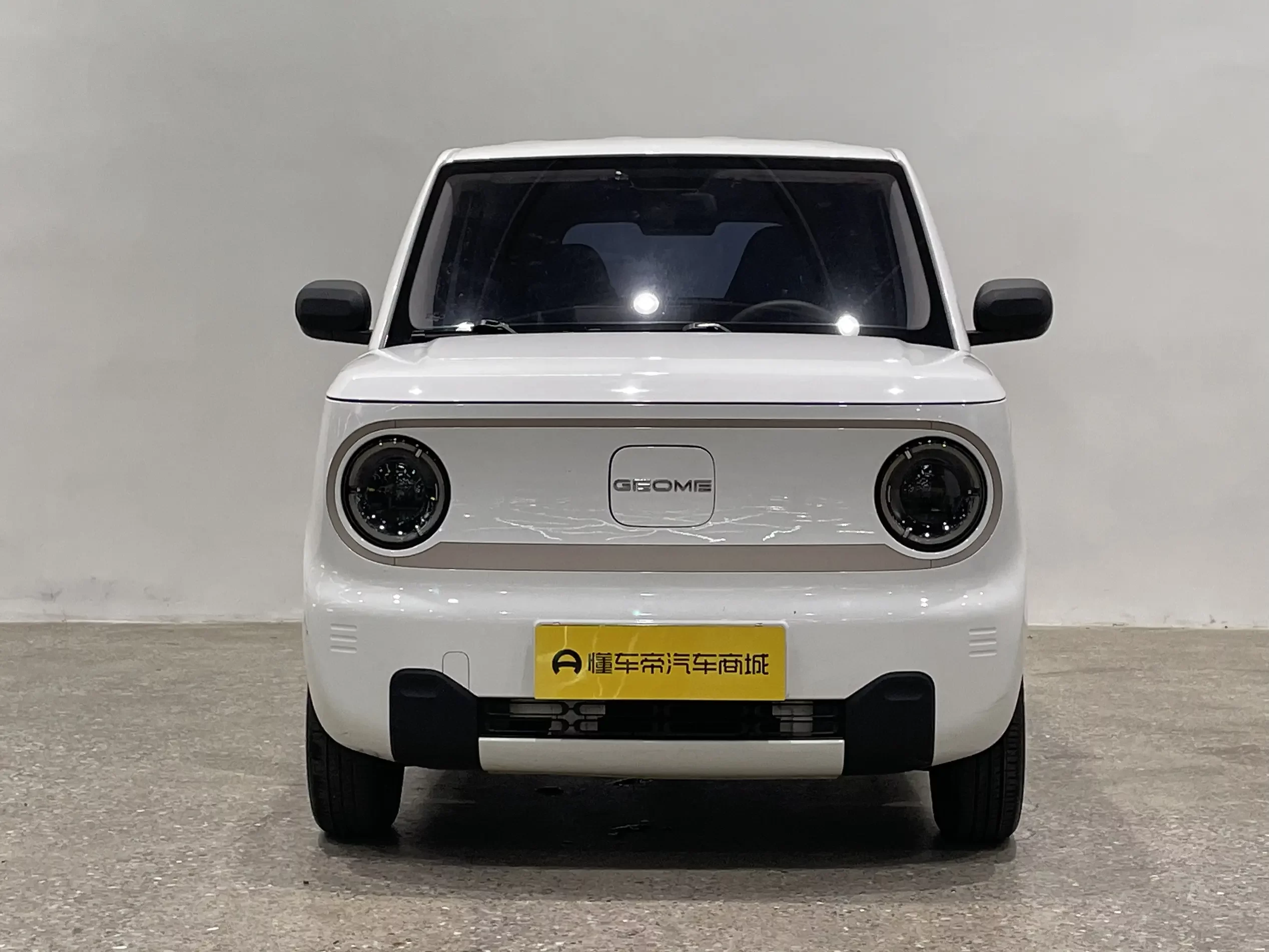 Geely panda