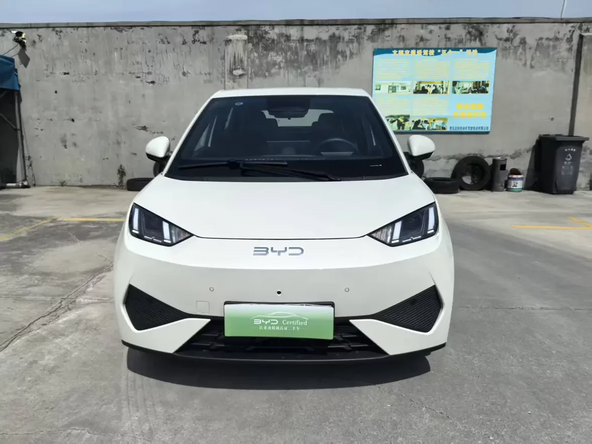 BYD seagull