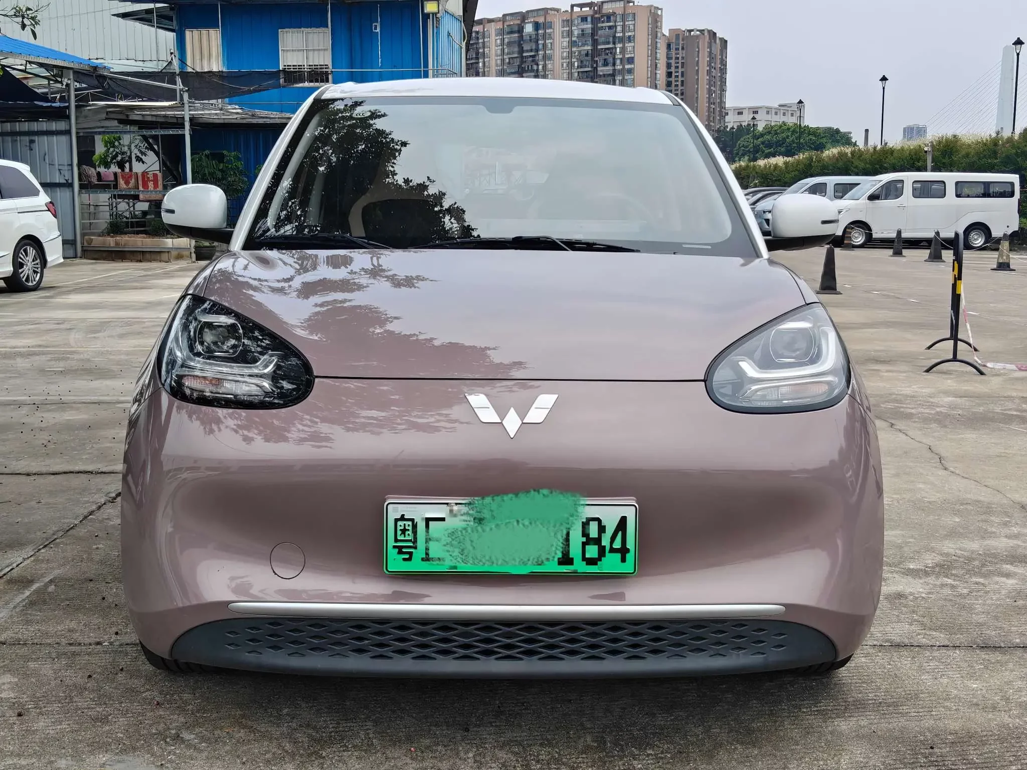 Wuling Bingo
