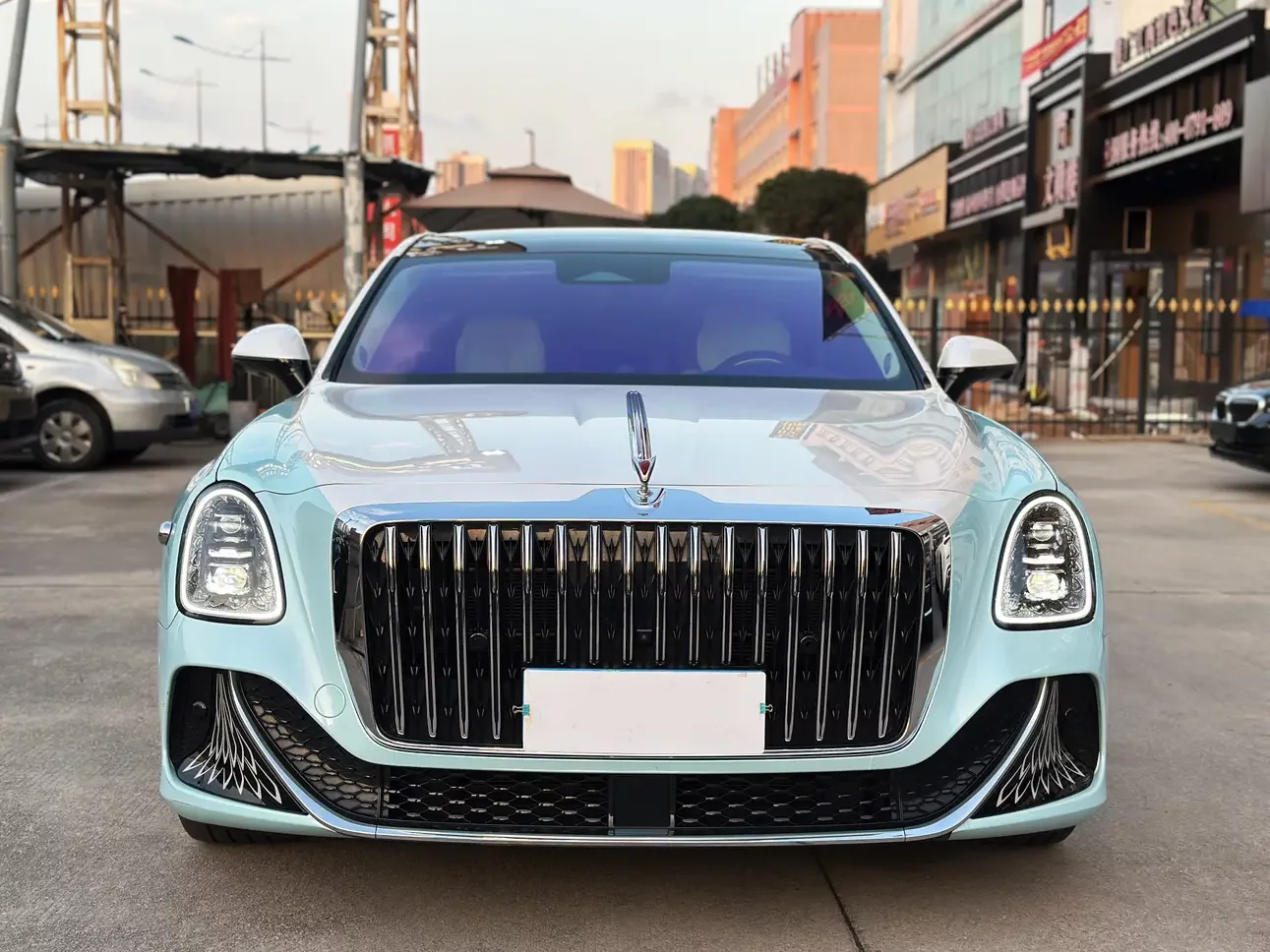 Hongqi Red Flag Golden Sunflower Country Elegance