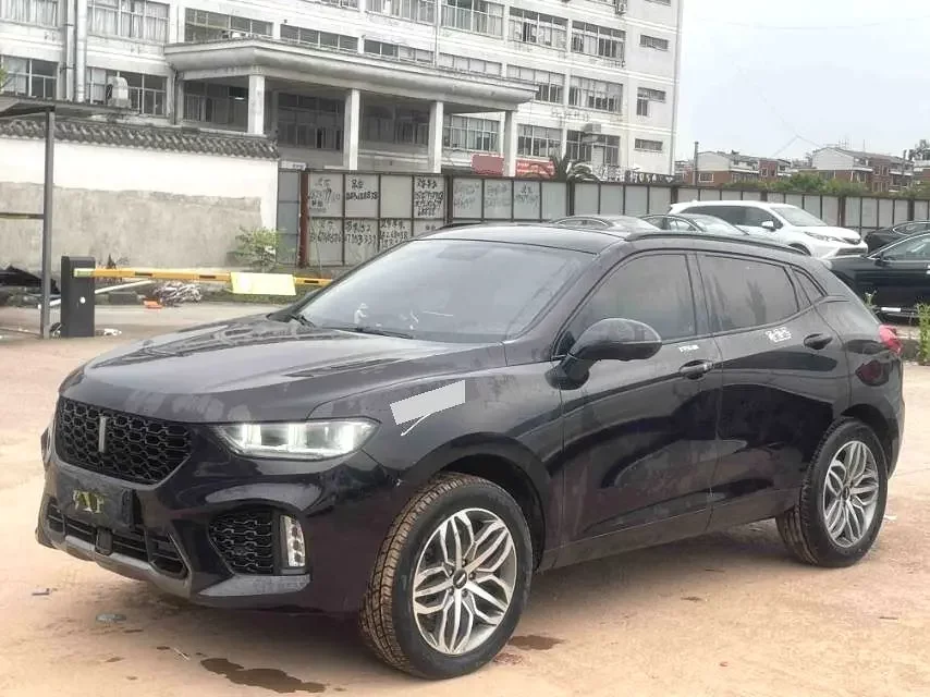 Wey Wei brand VV5
