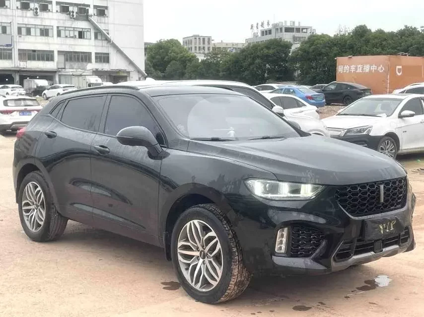 Wey Wei brand VV5