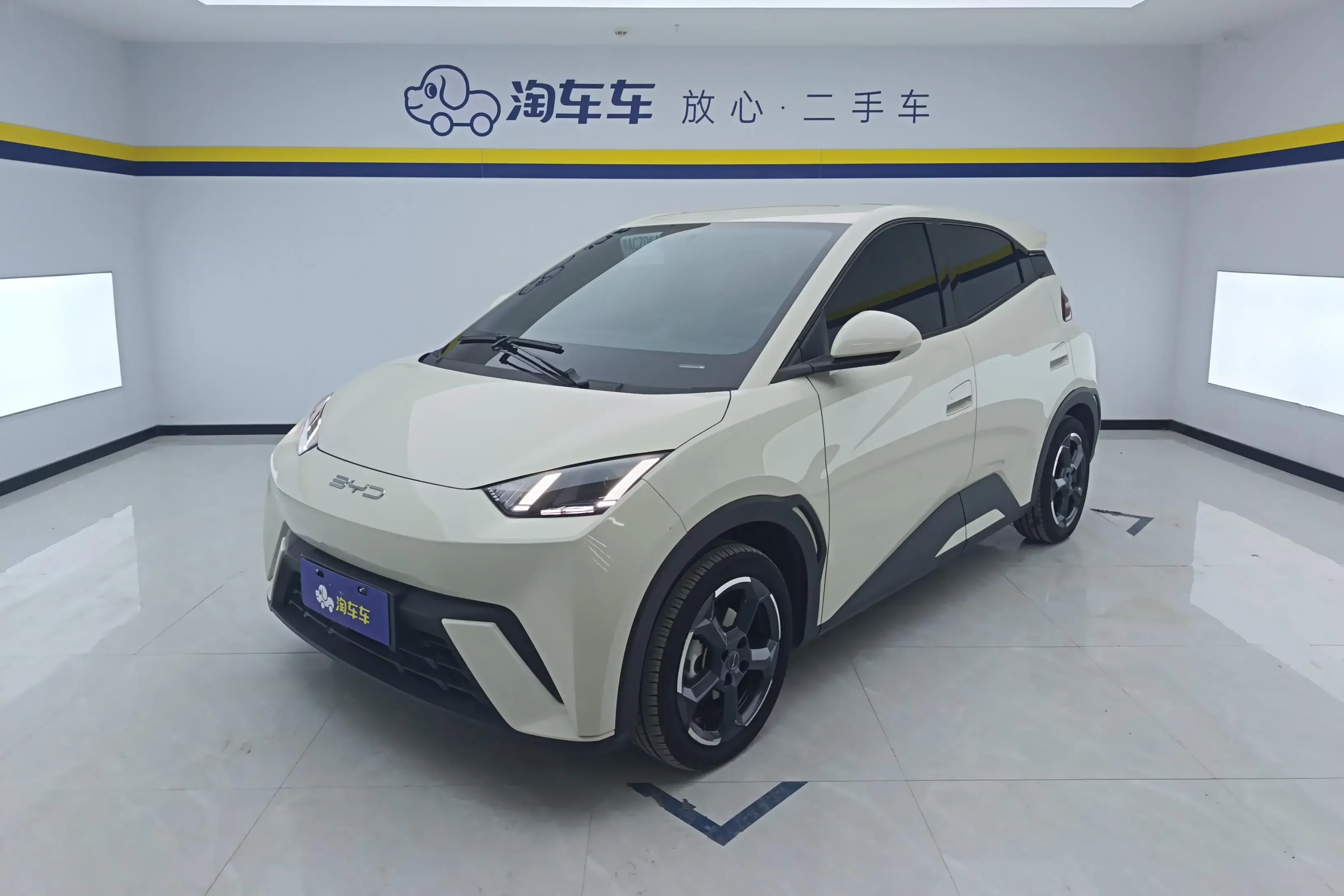 BYD seagull