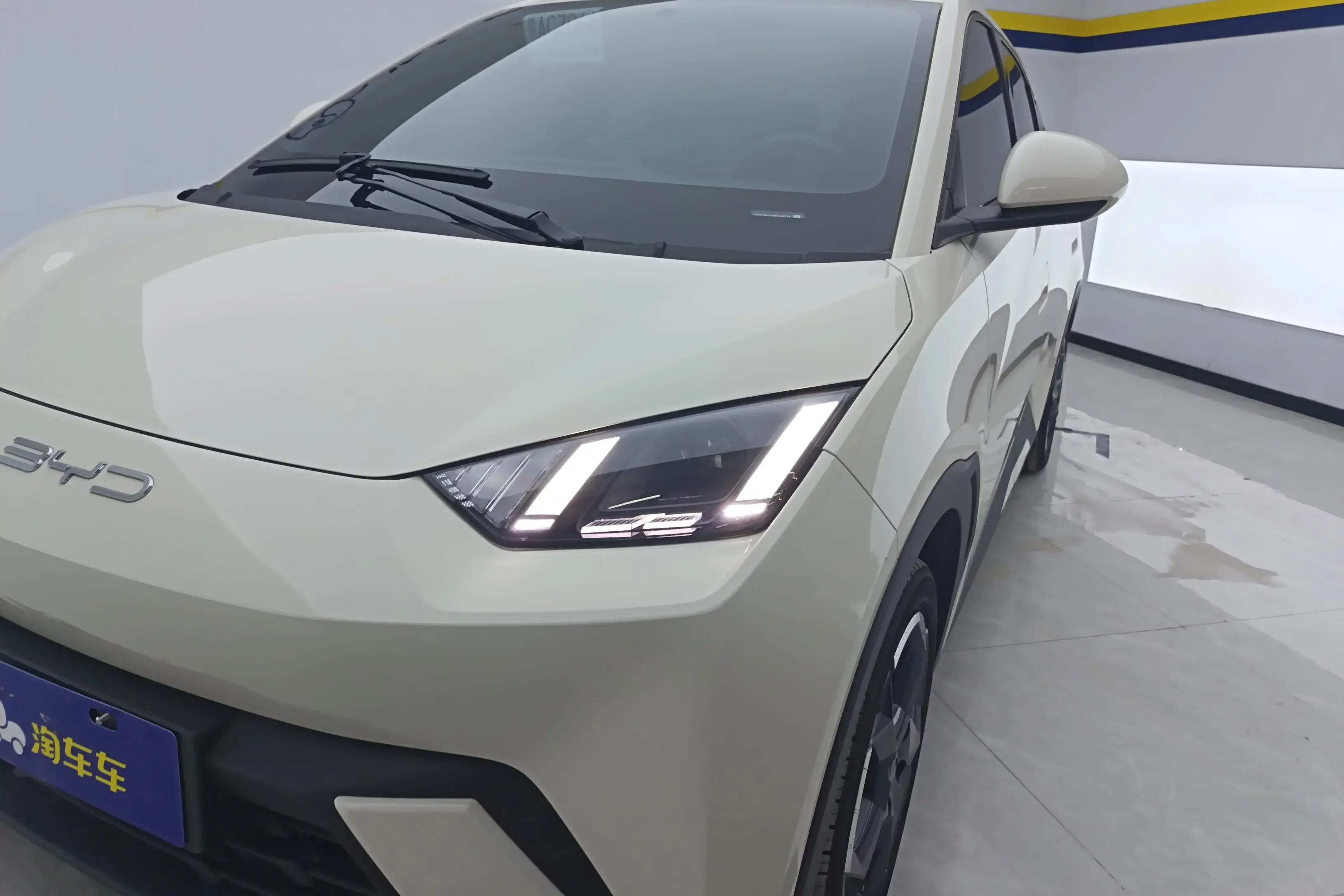 BYD seagull