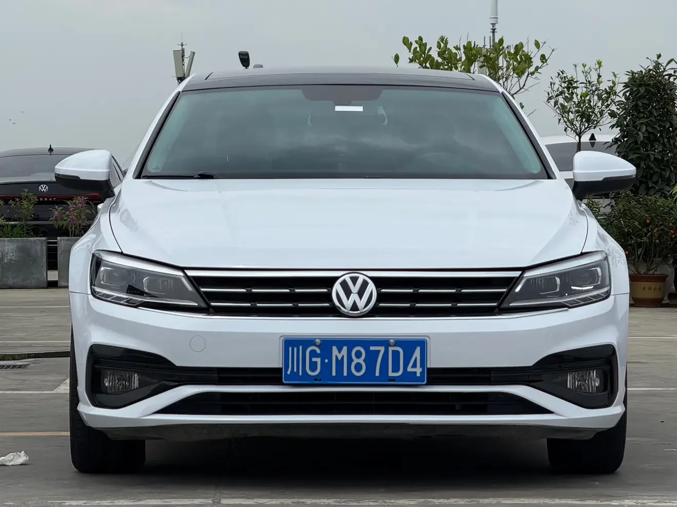 Volkswagen Lamando