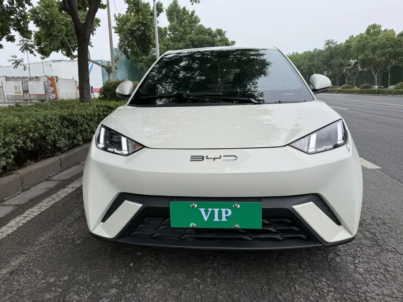 BYD seagull