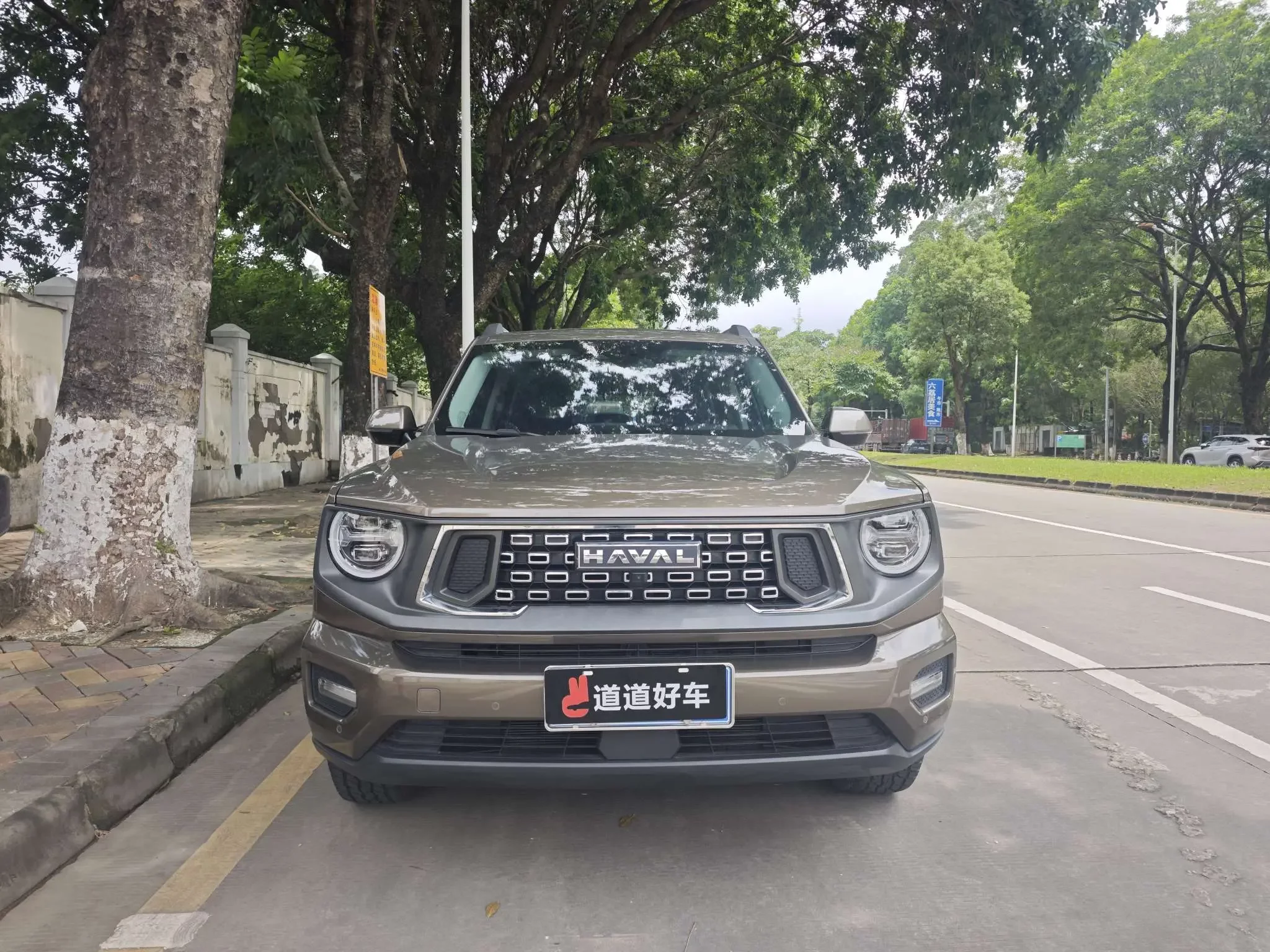 Haval H-Dog