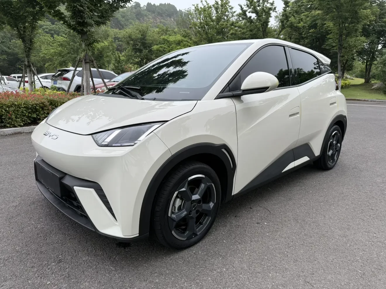 BYD seagull