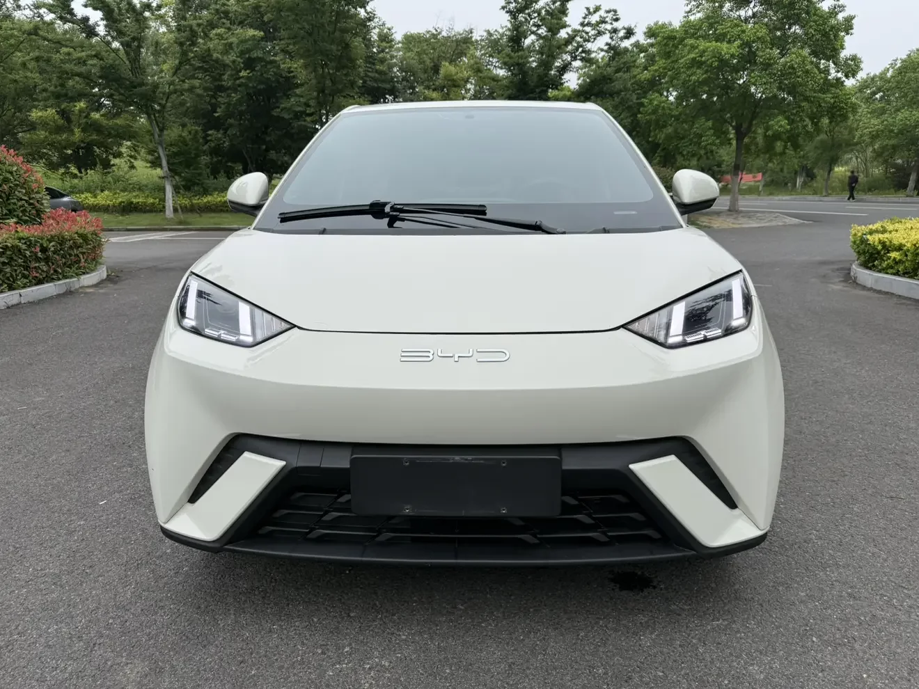 BYD seagull