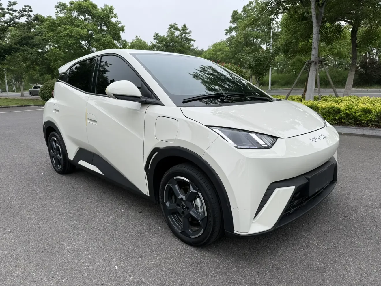 BYD seagull