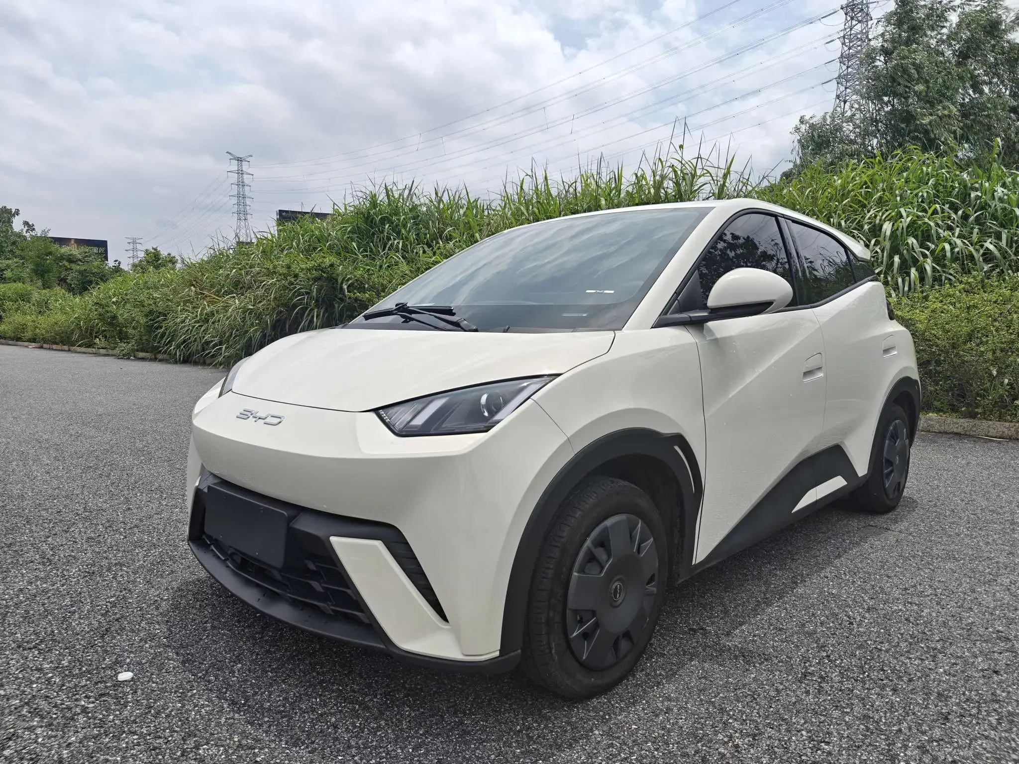 BYD seagull