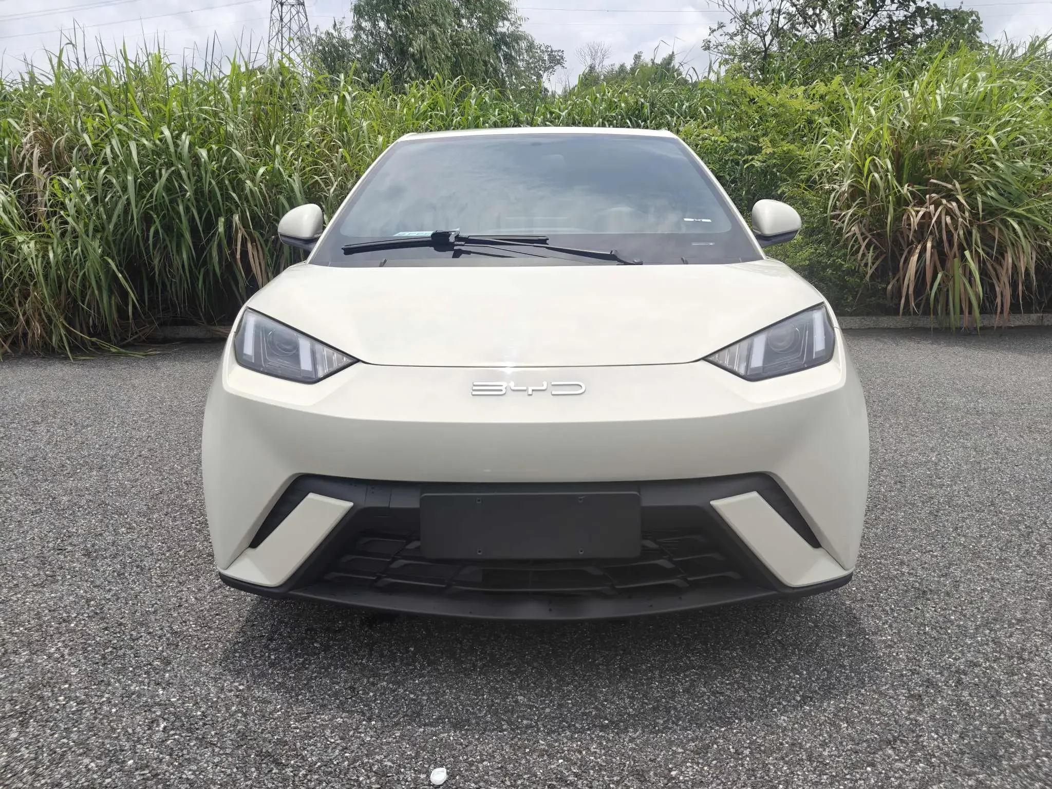 BYD seagull
