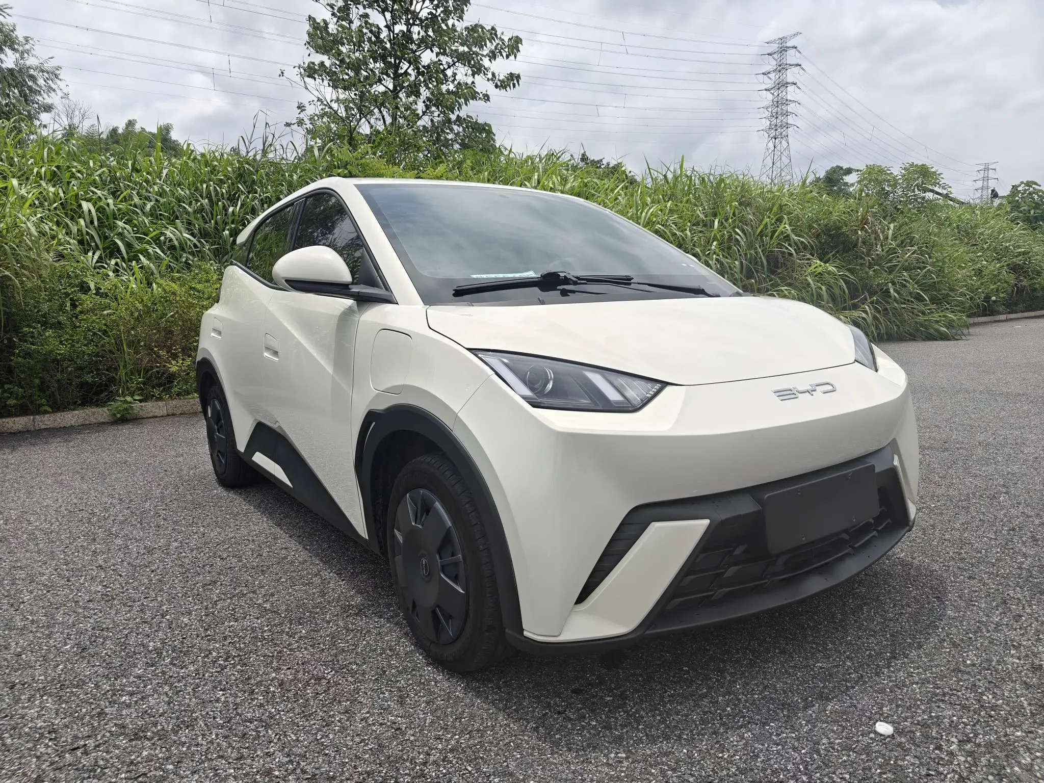 BYD seagull