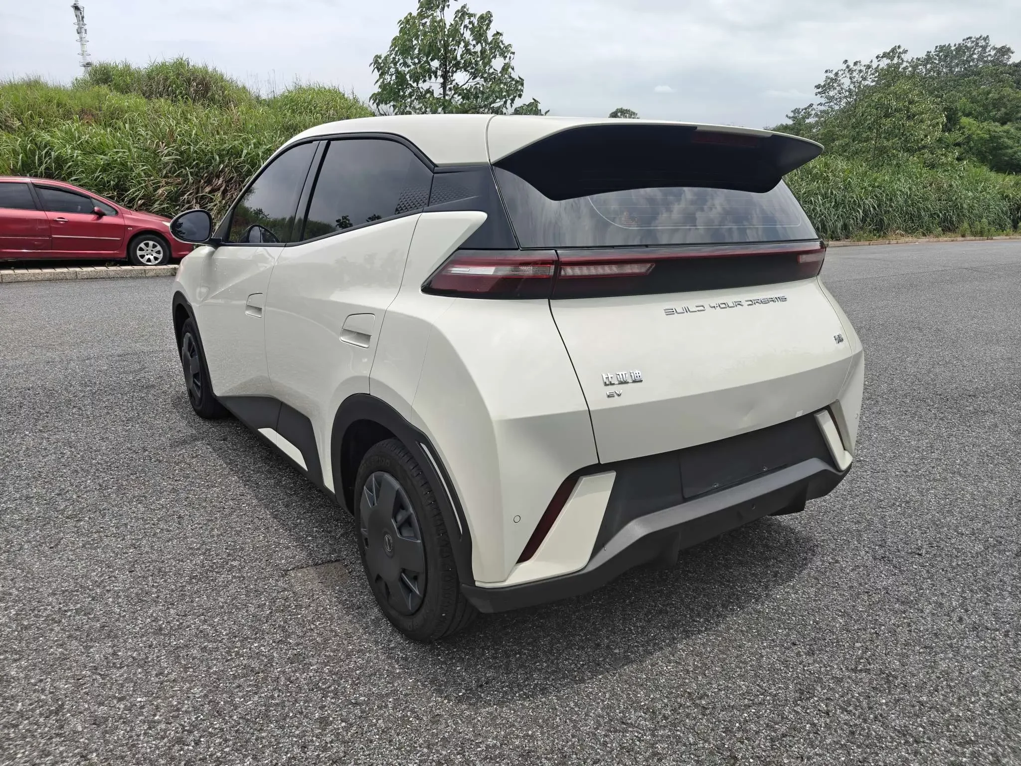 BYD seagull