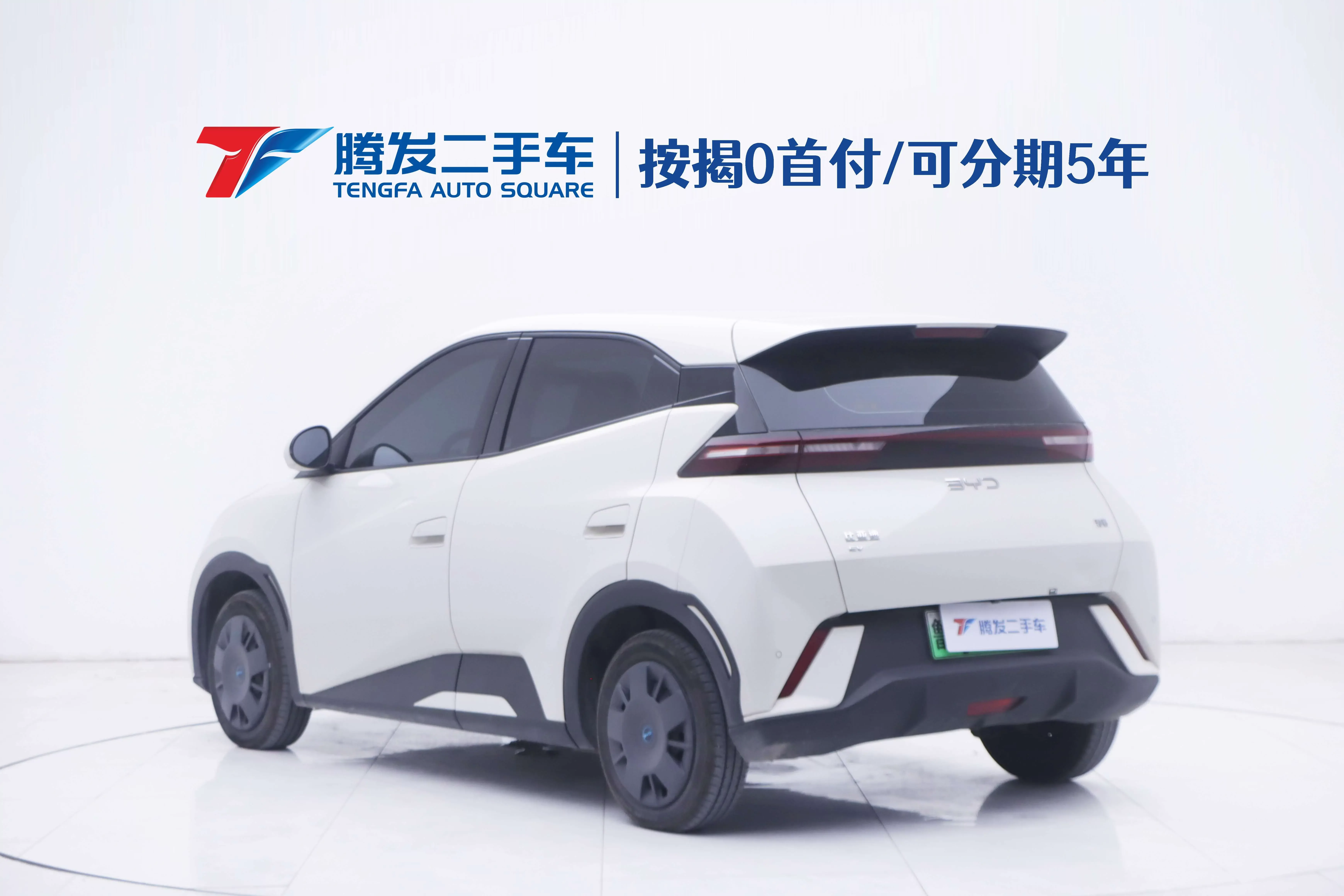 BYD seagull