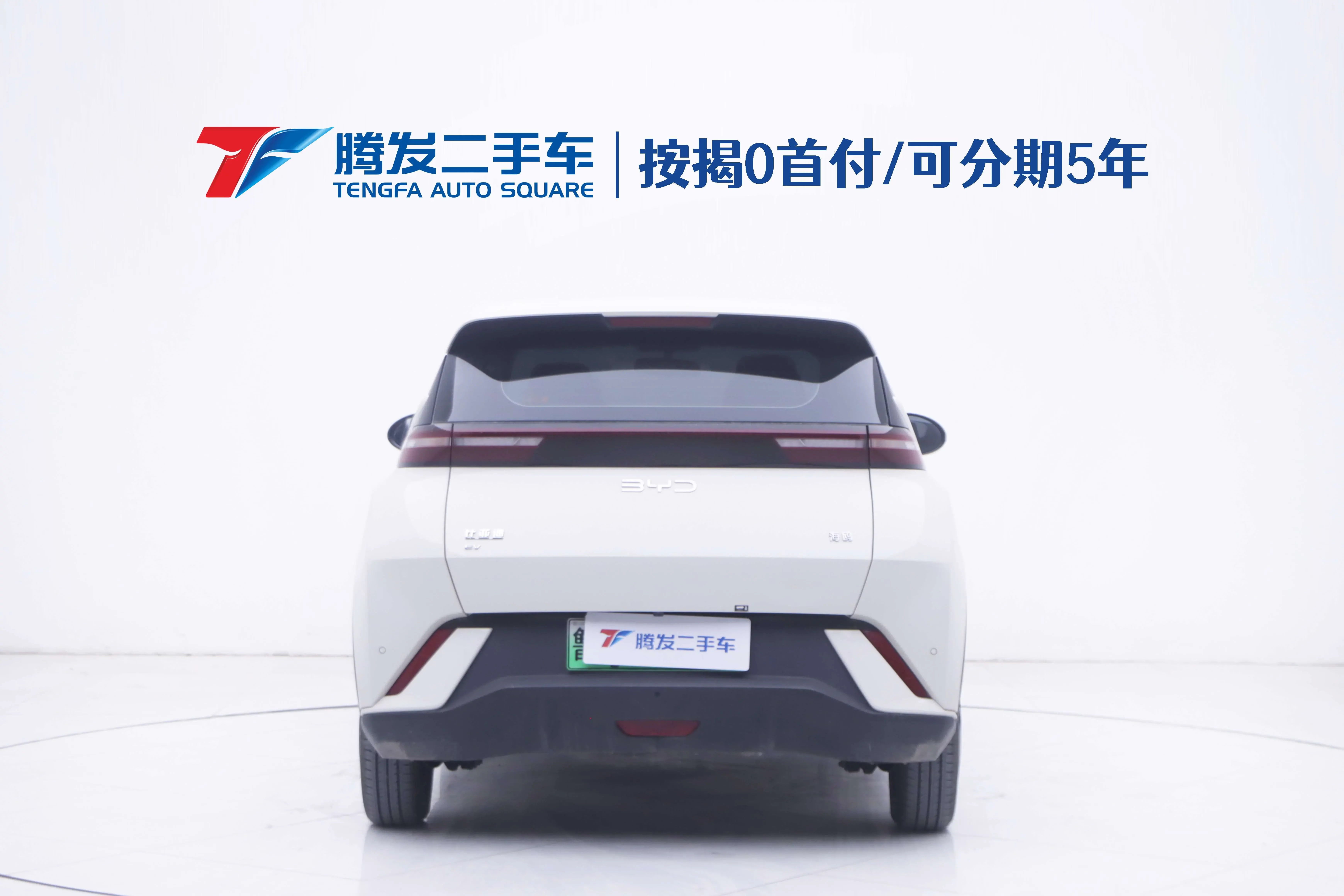 BYD seagull