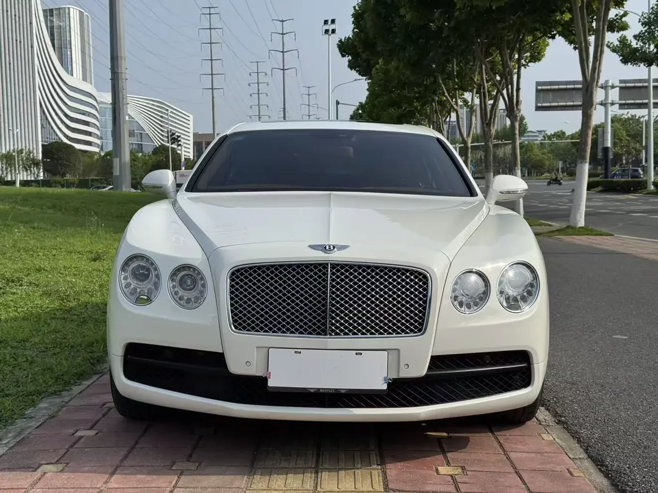 Bentley galloping