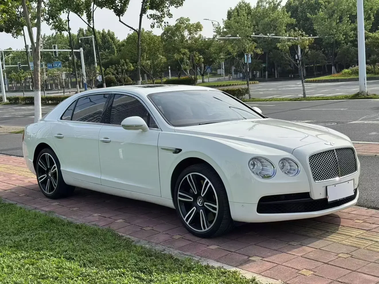 Bentley galloping