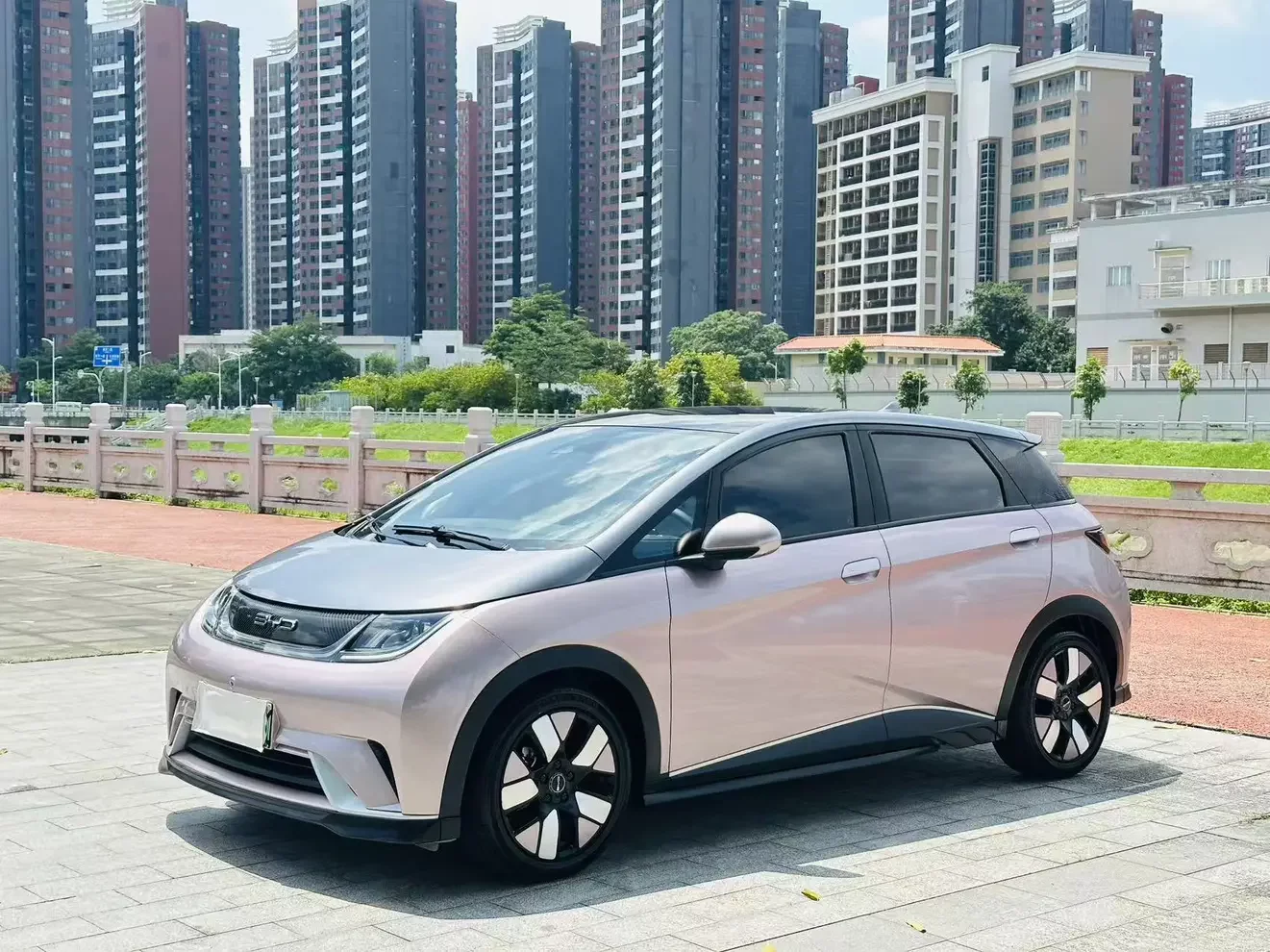 BYD dolphin