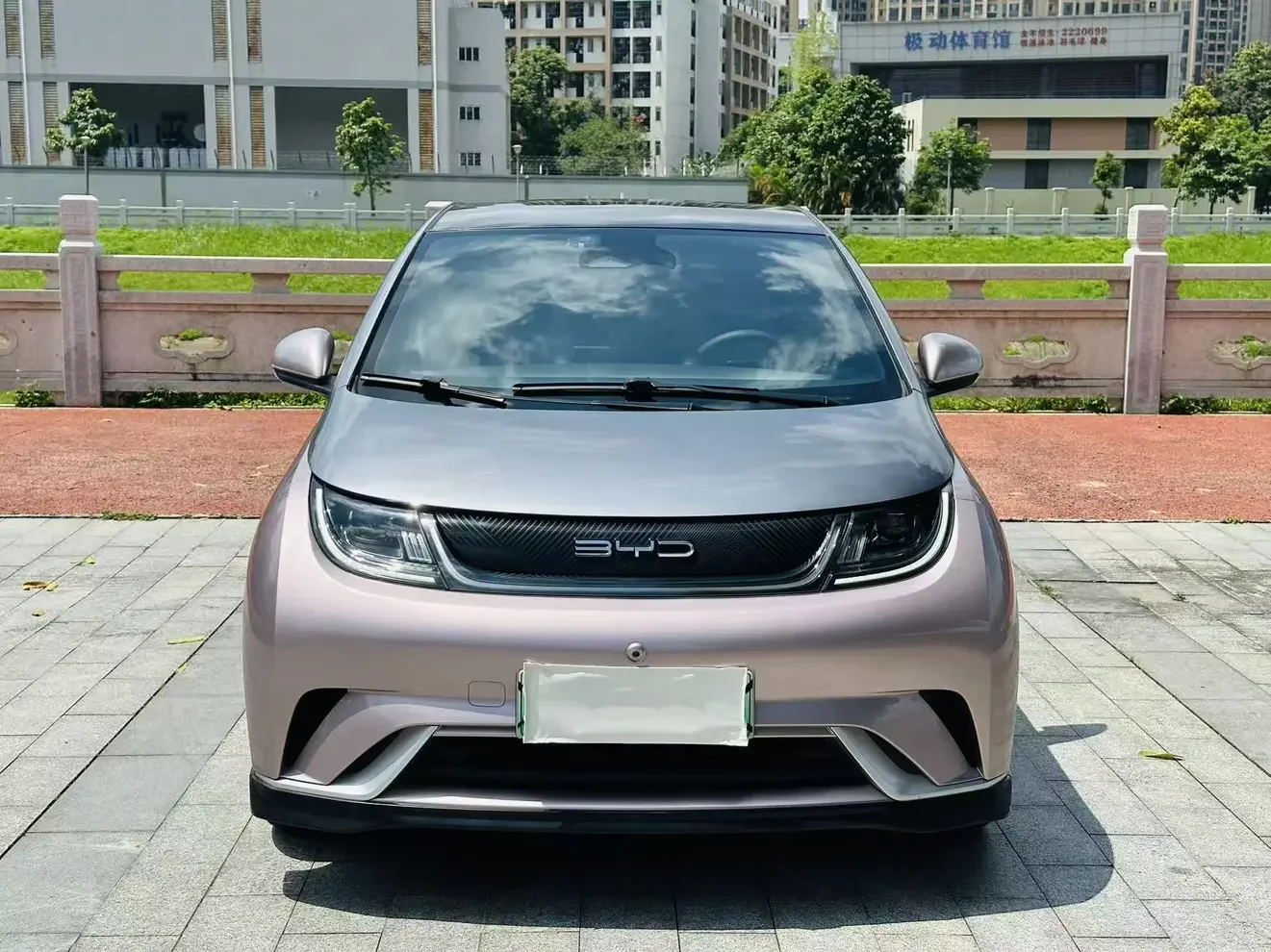 BYD dolphin