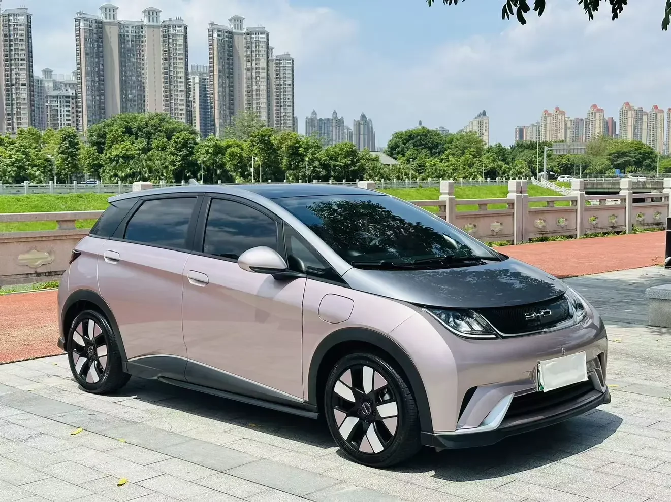 BYD dolphin