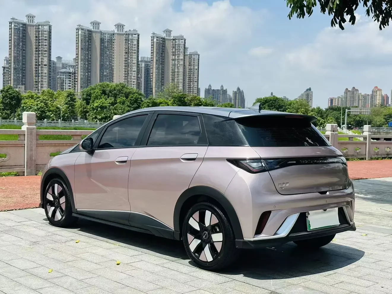 BYD dolphin