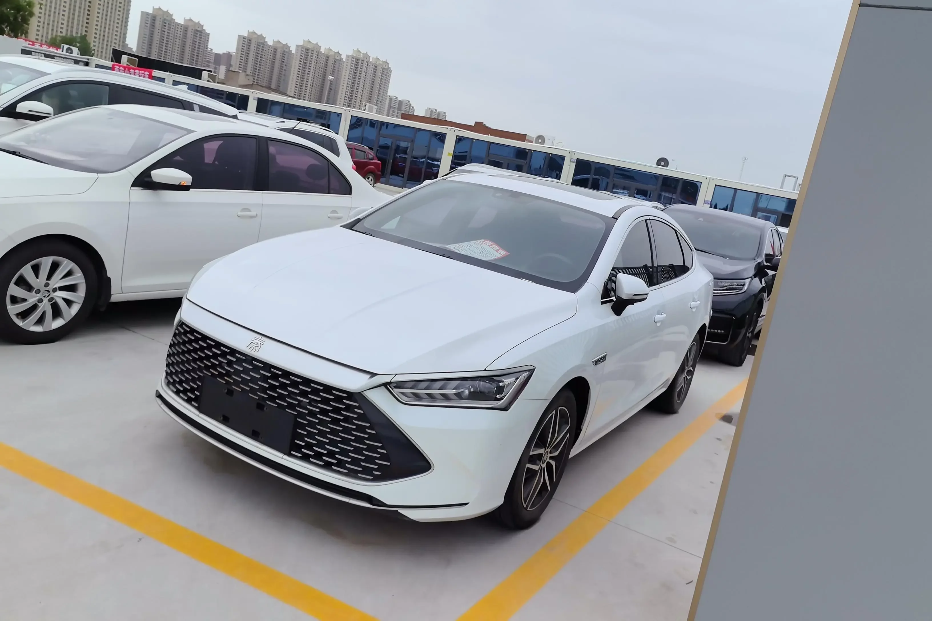 BYD Qin PLUS DM