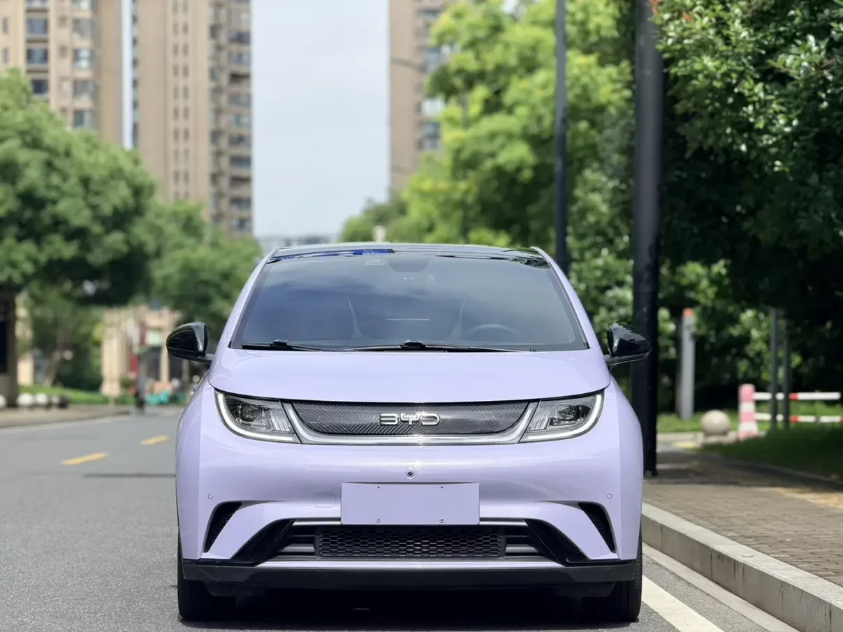 BYD dolphin