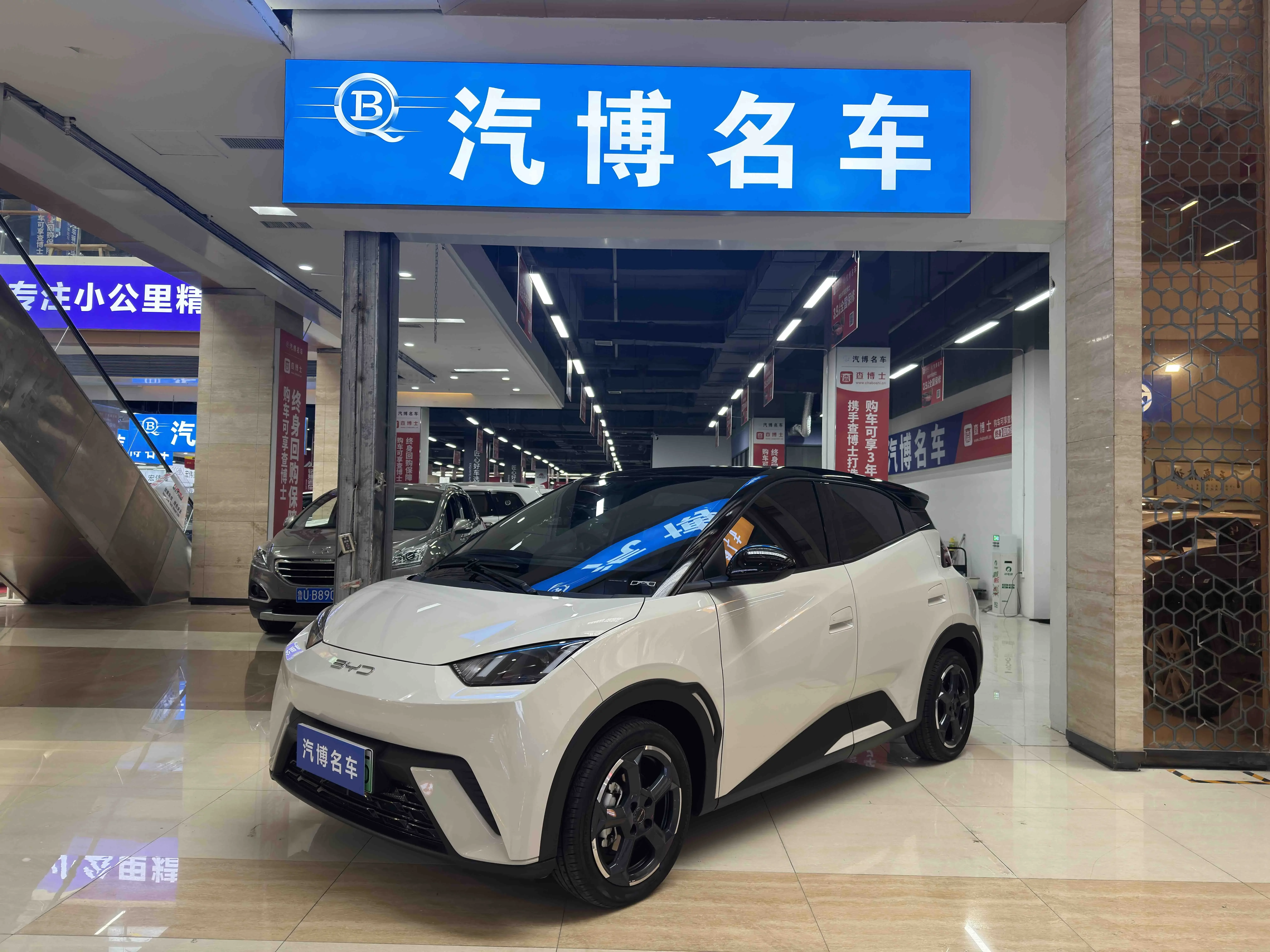 BYD seagull