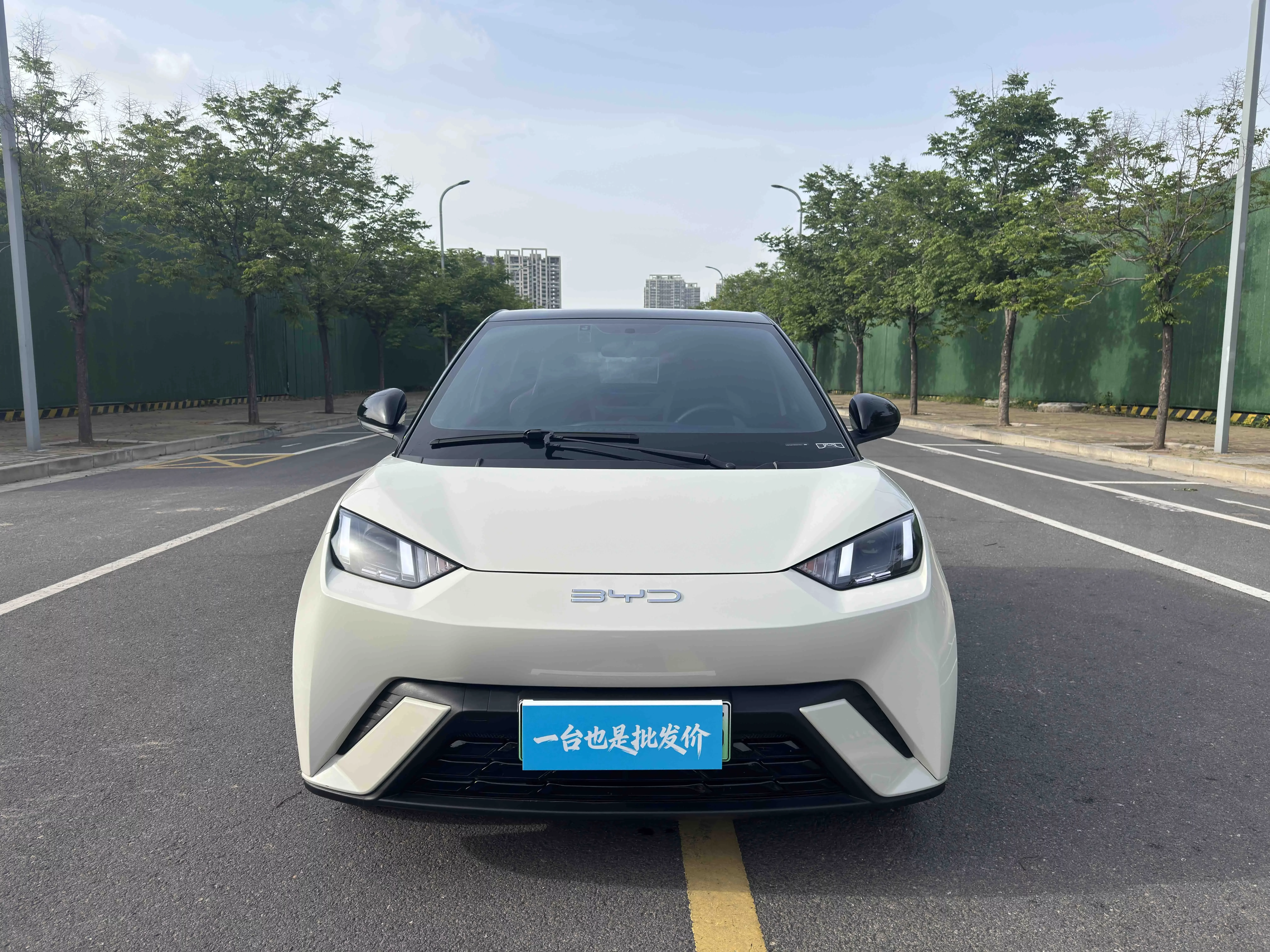 BYD seagull