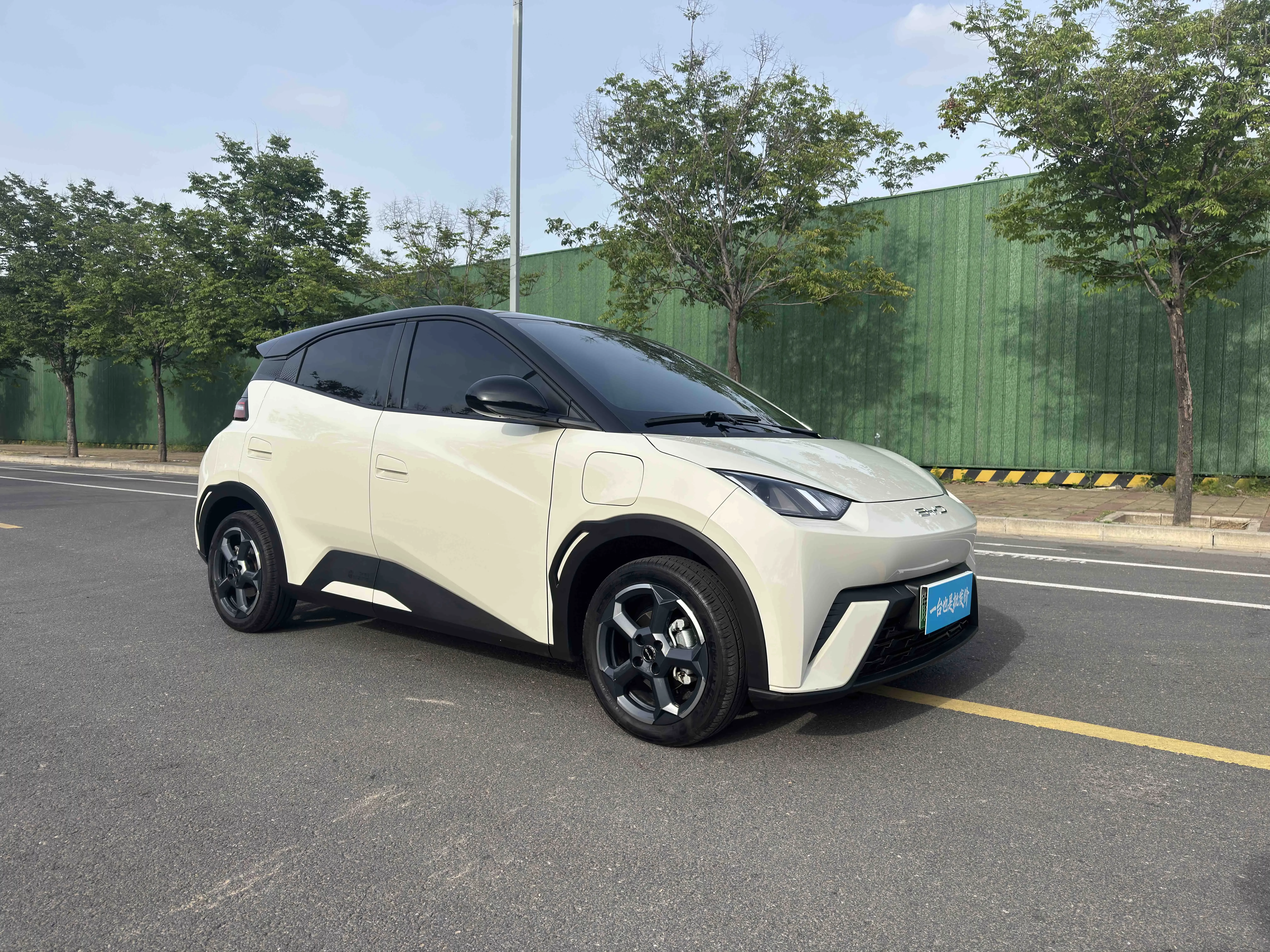 BYD seagull