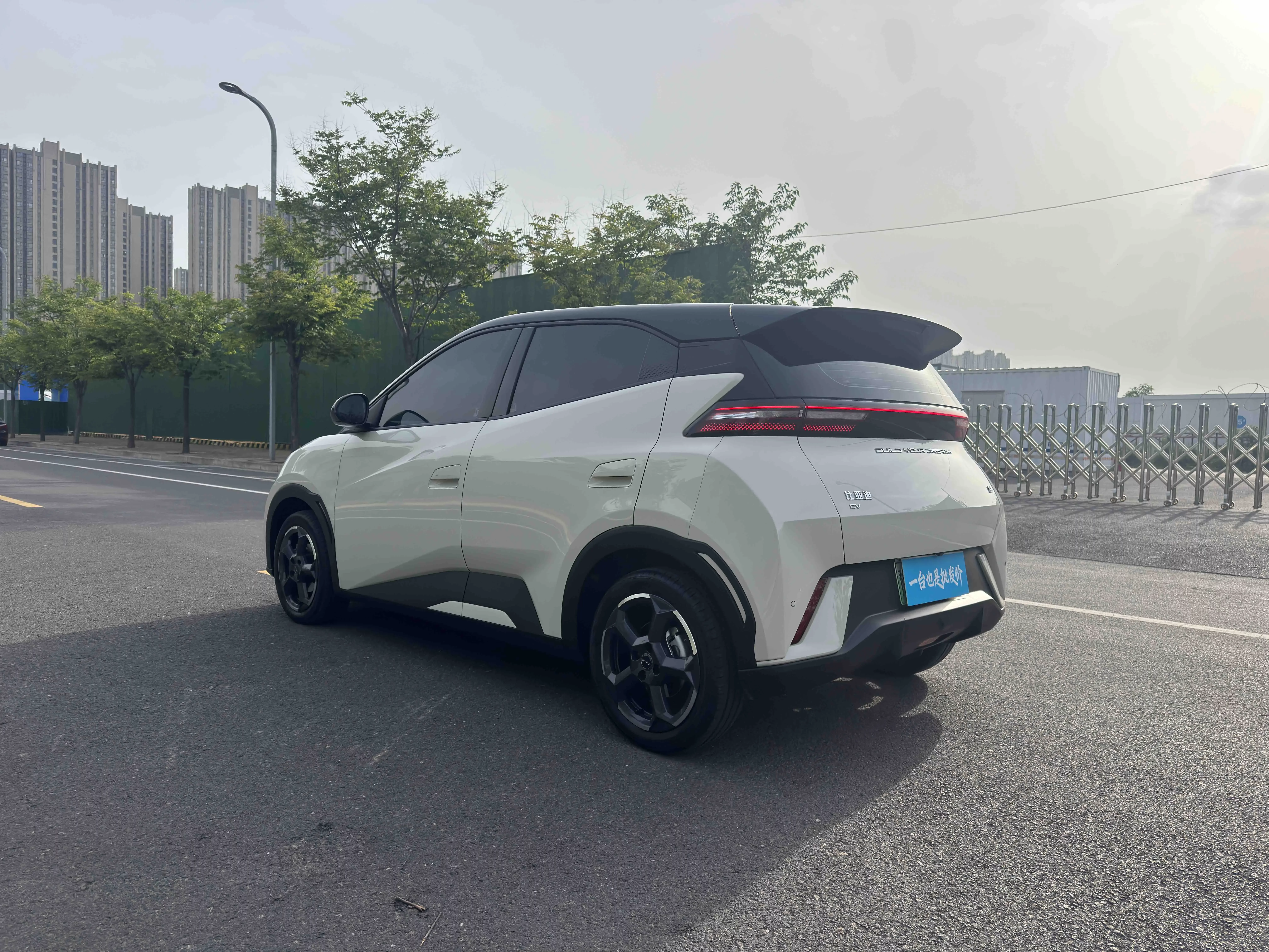 BYD seagull