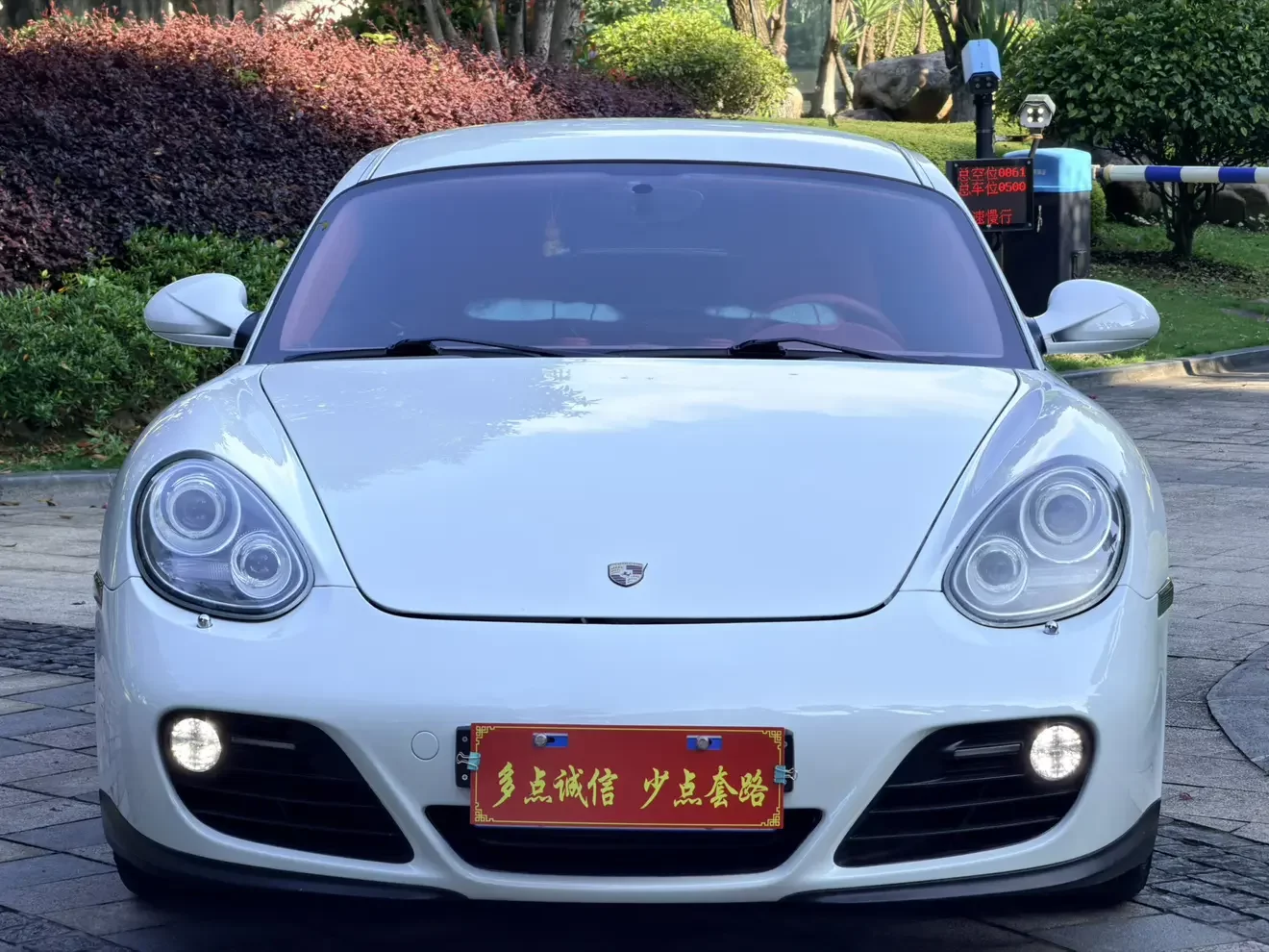 Porsche Cayman