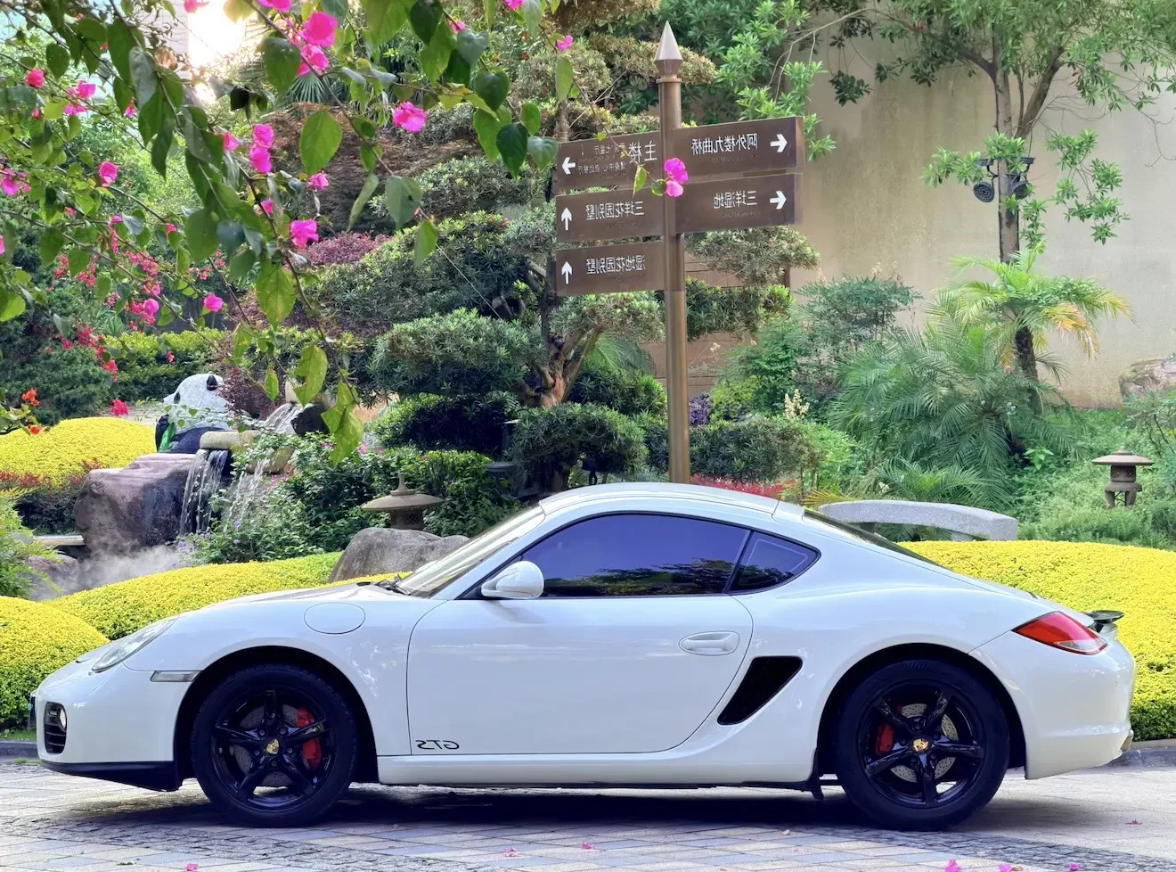 Porsche Cayman
