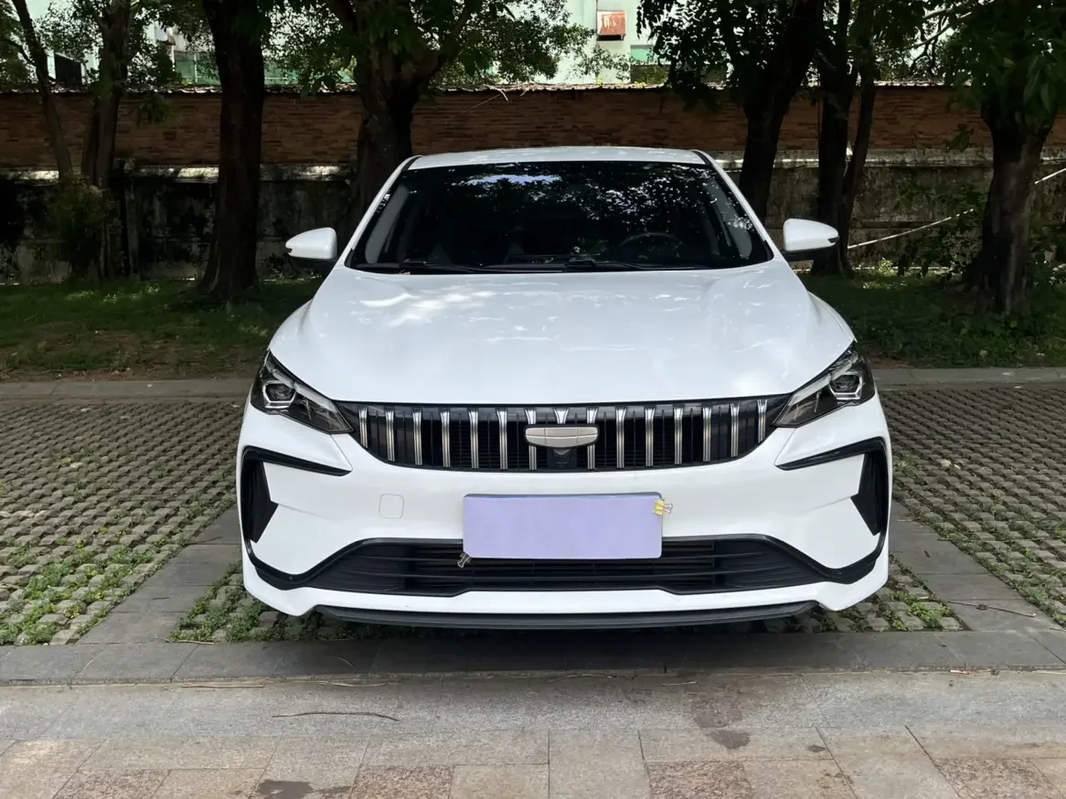 Geely Binrui