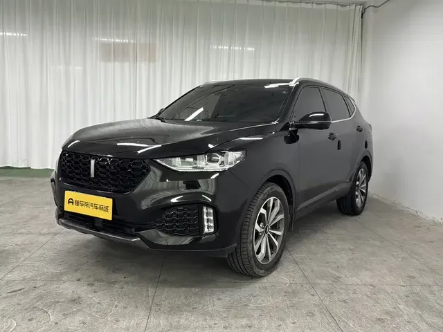 Wey Wei brand VV6