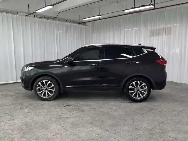 Wey Wei brand VV6