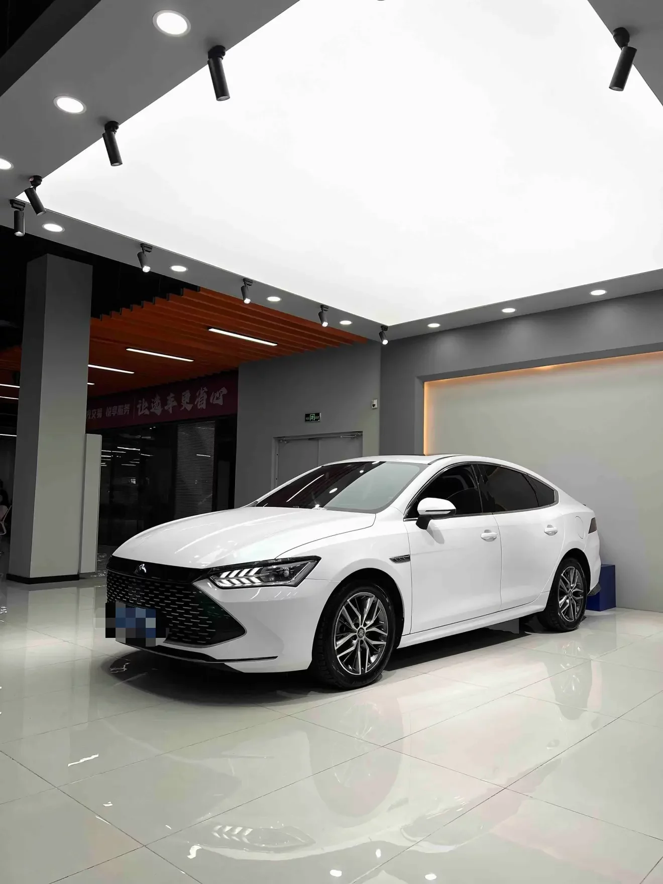 BYD Qin PLUS DM
