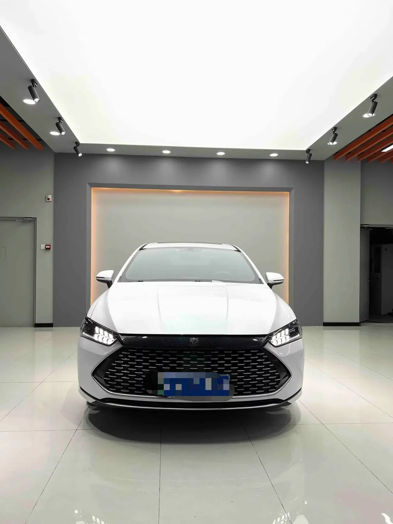 BYD Qin PLUS DM