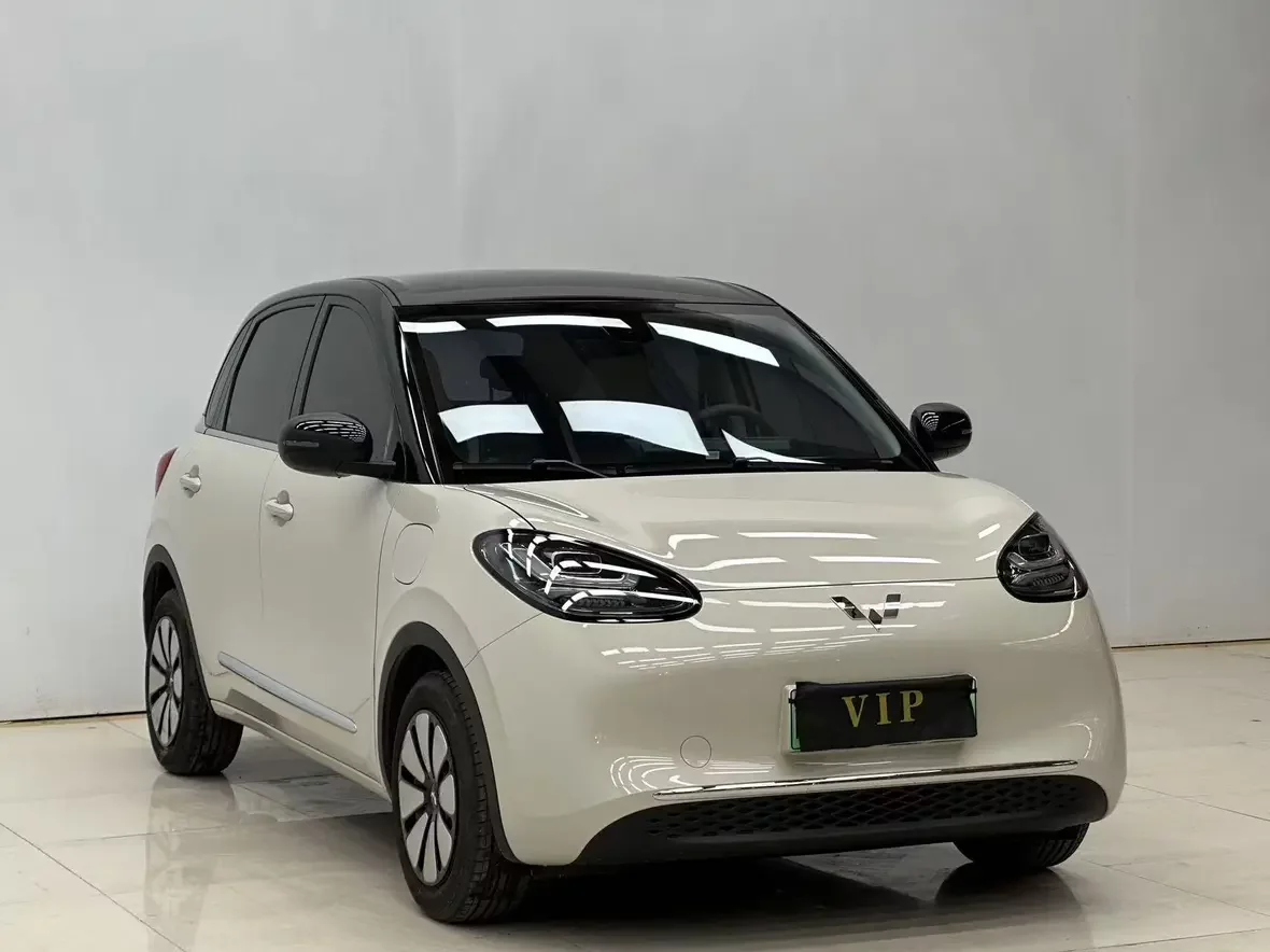 Wuling Bingo