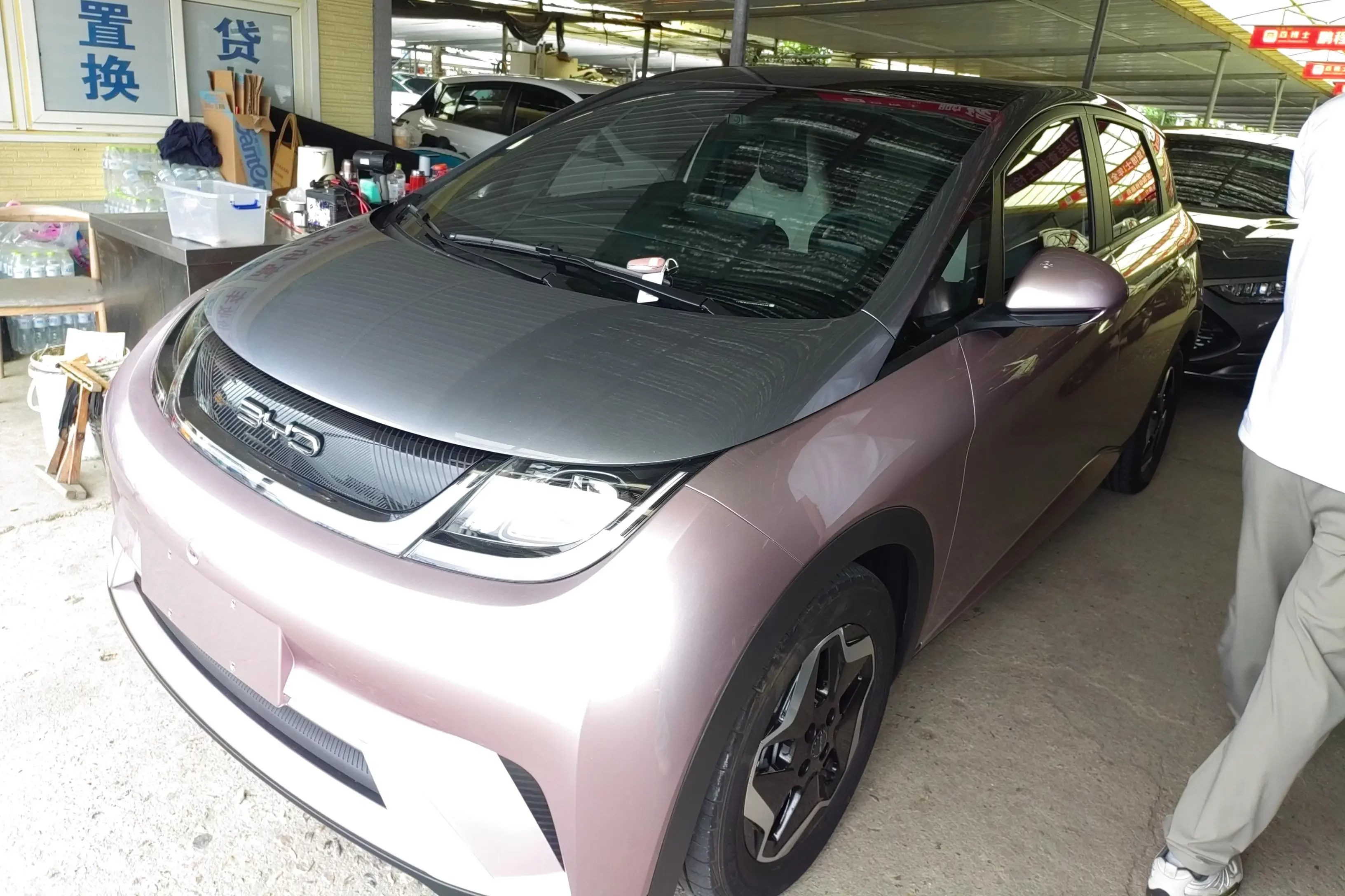 BYD dolphin