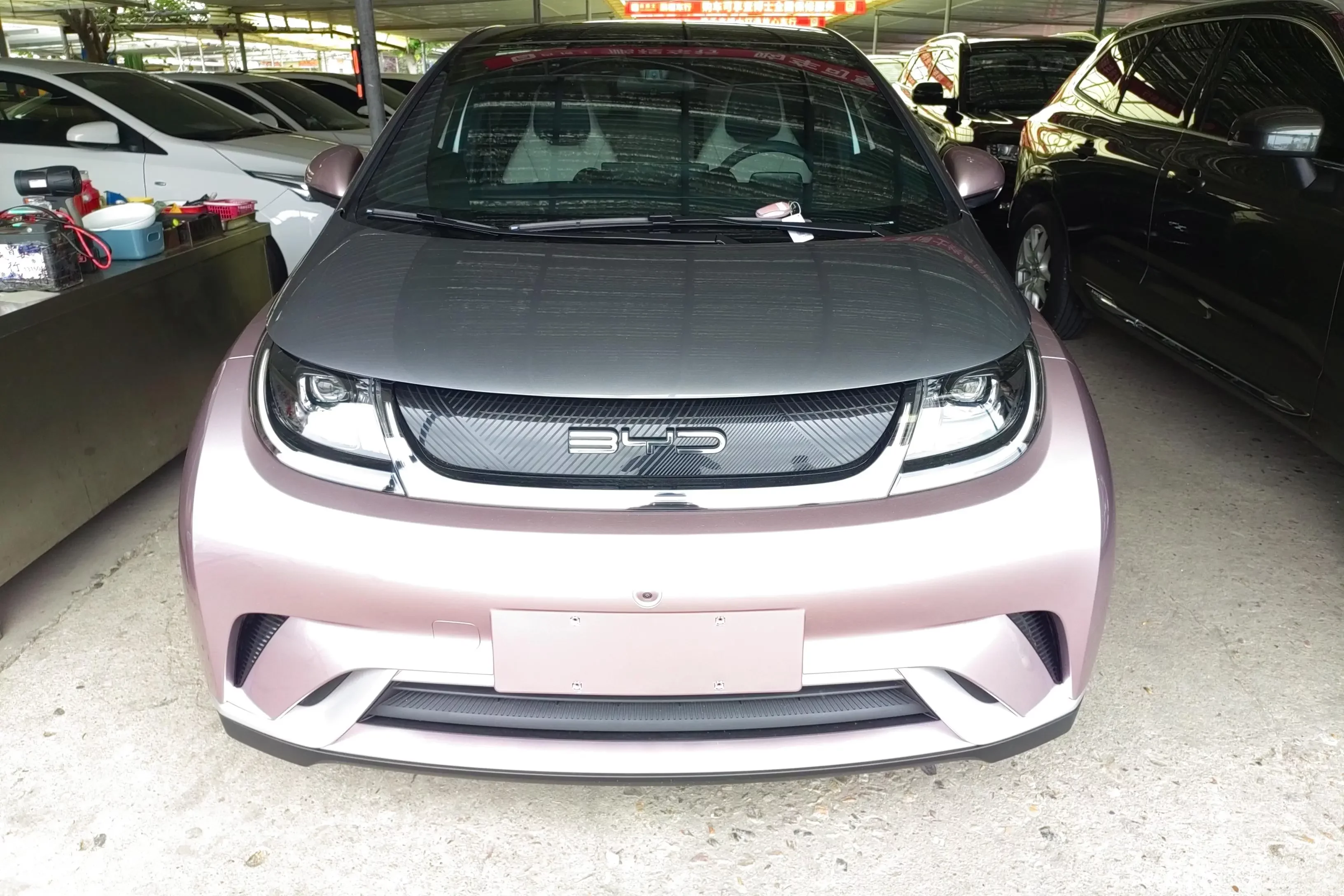 BYD dolphin
