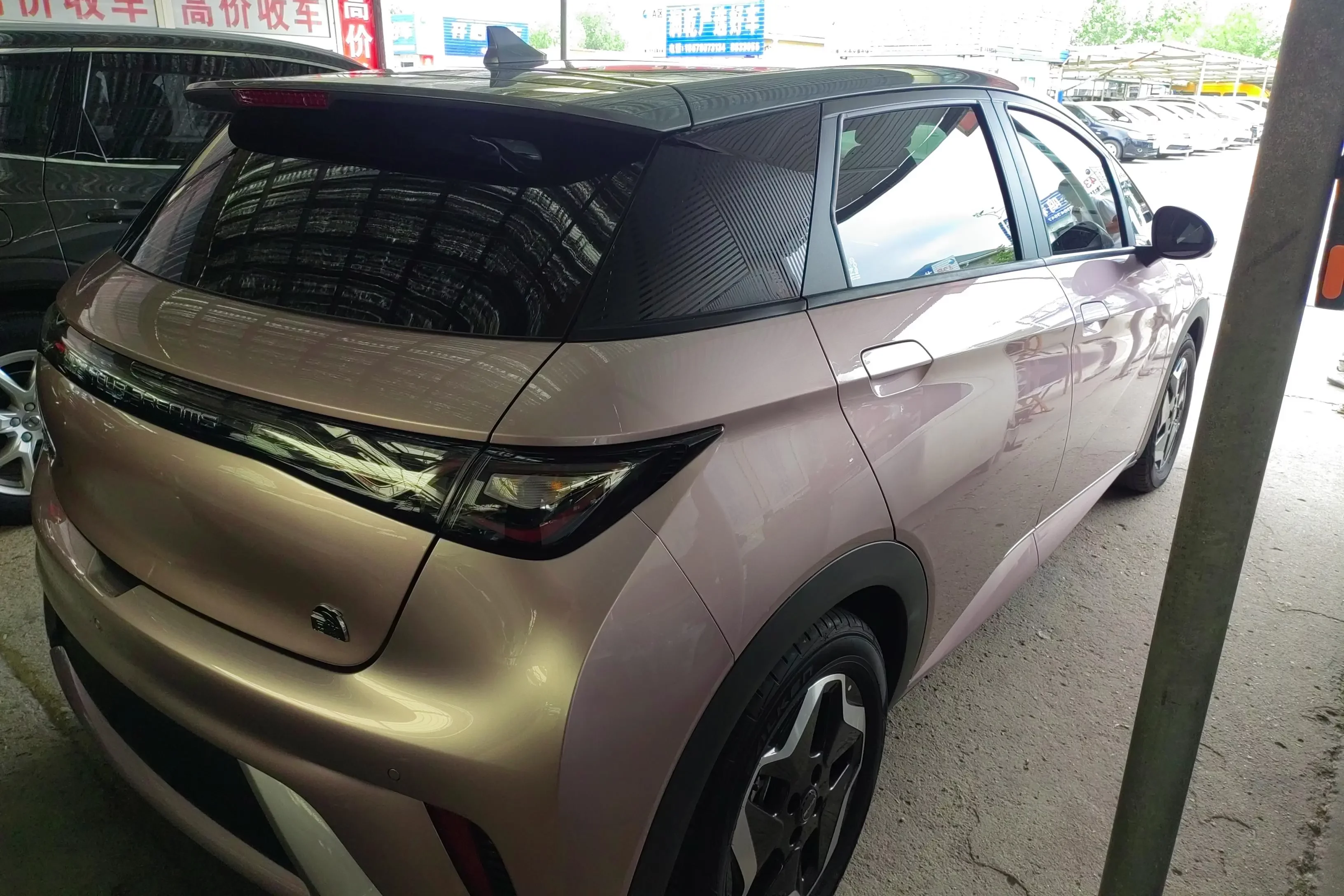 BYD dolphin