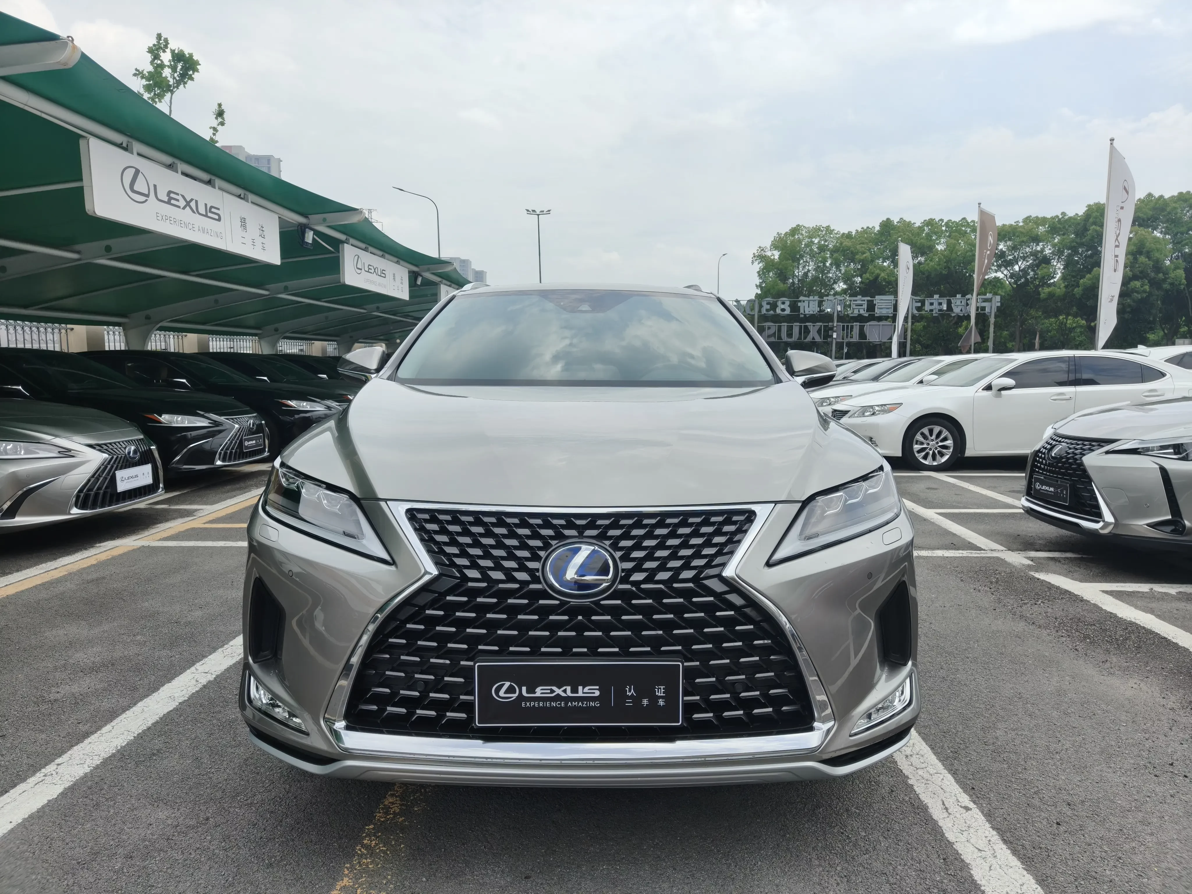 Lexus RX