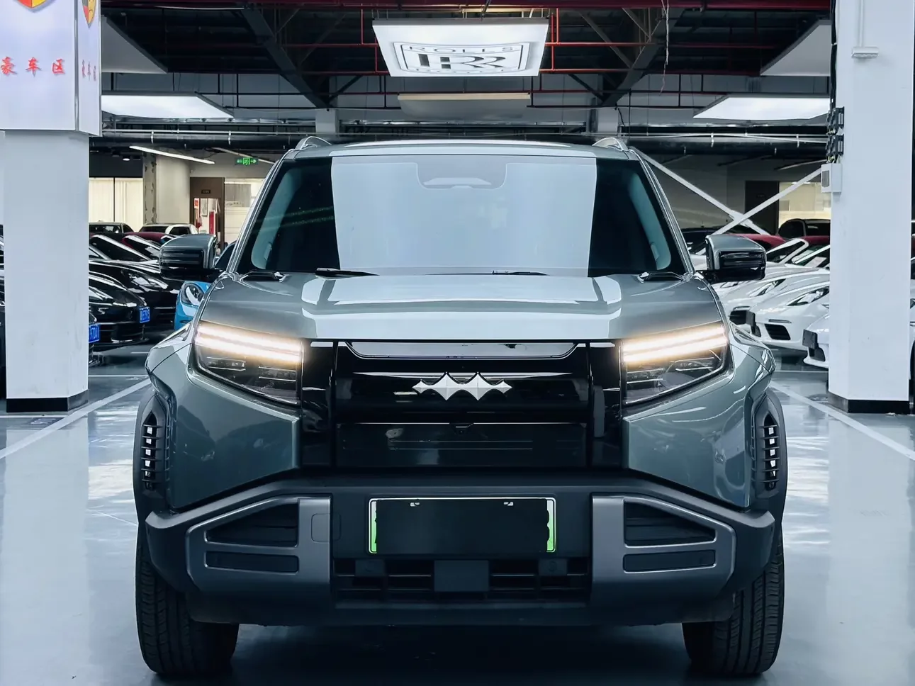 BYD Leopard Titanium 3