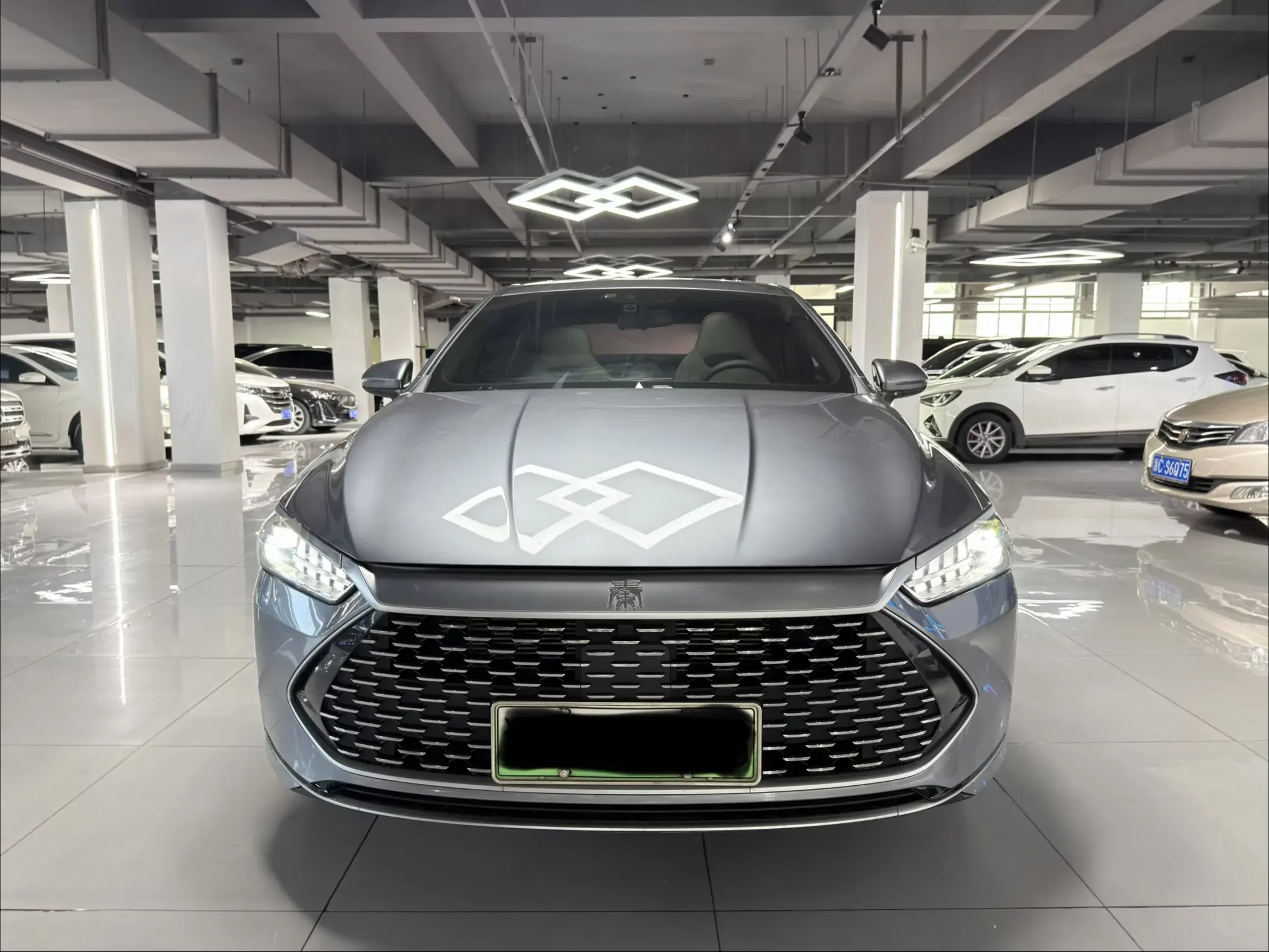 BYD Qin PLUS DM