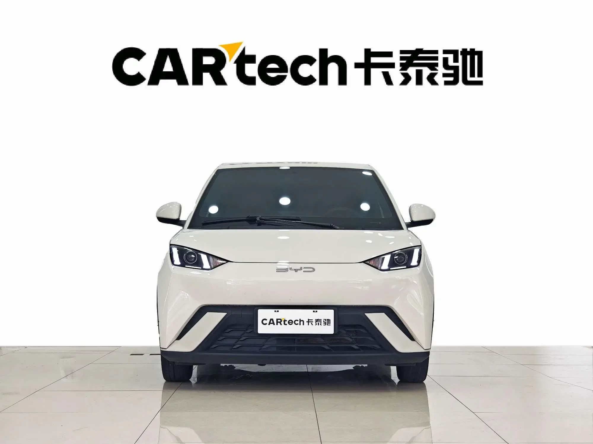 BYD seagull