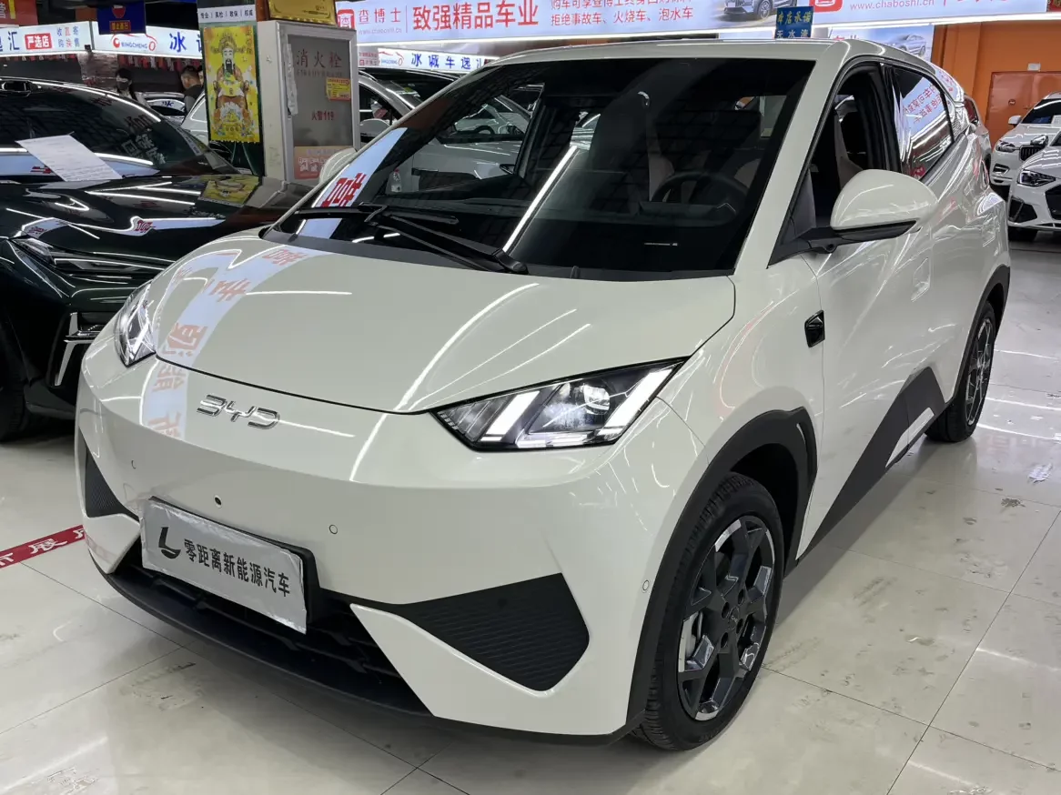 BYD seagull