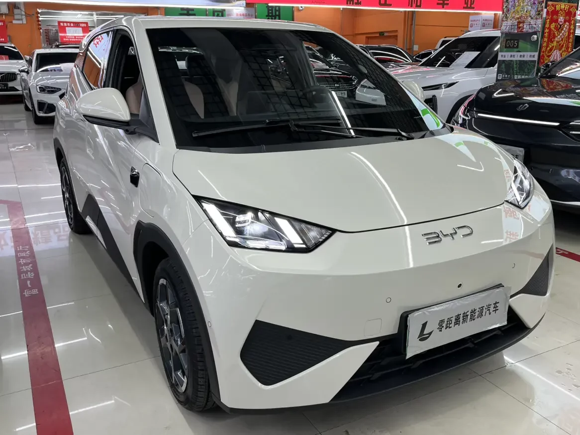 BYD seagull